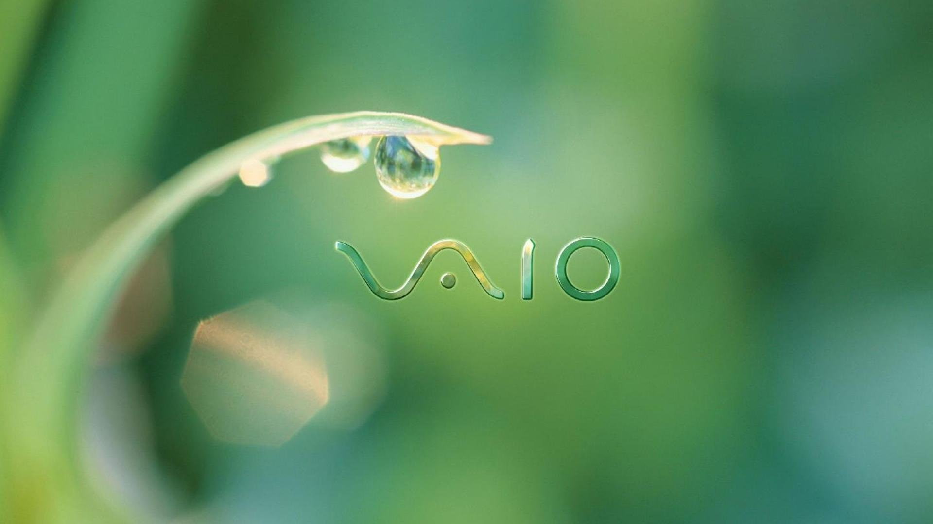 1080P, sony, computer, vaio, HD Wallpaper