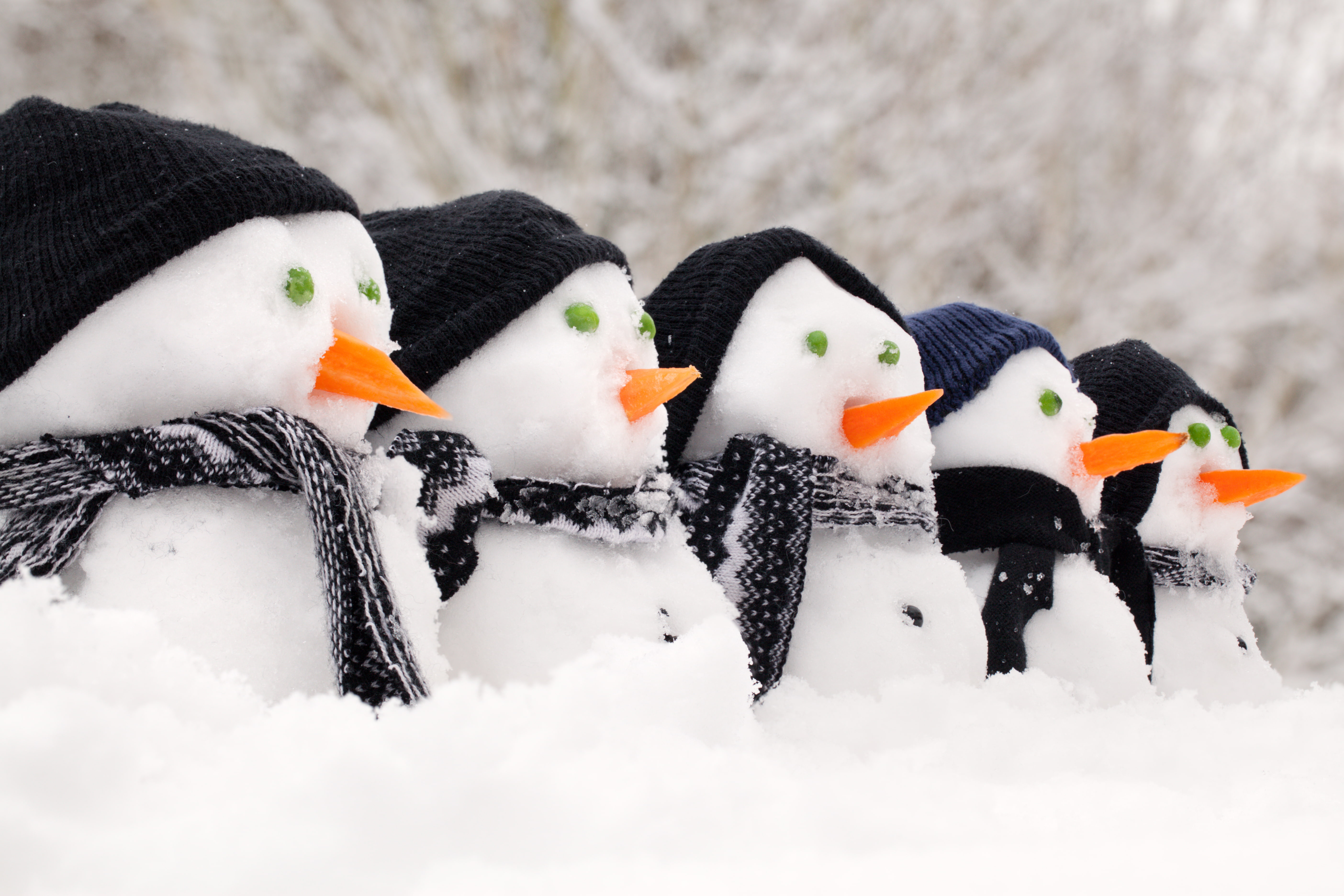 carrots, scarves, caps, 5K, snowmen, snow, HD Wallpaper