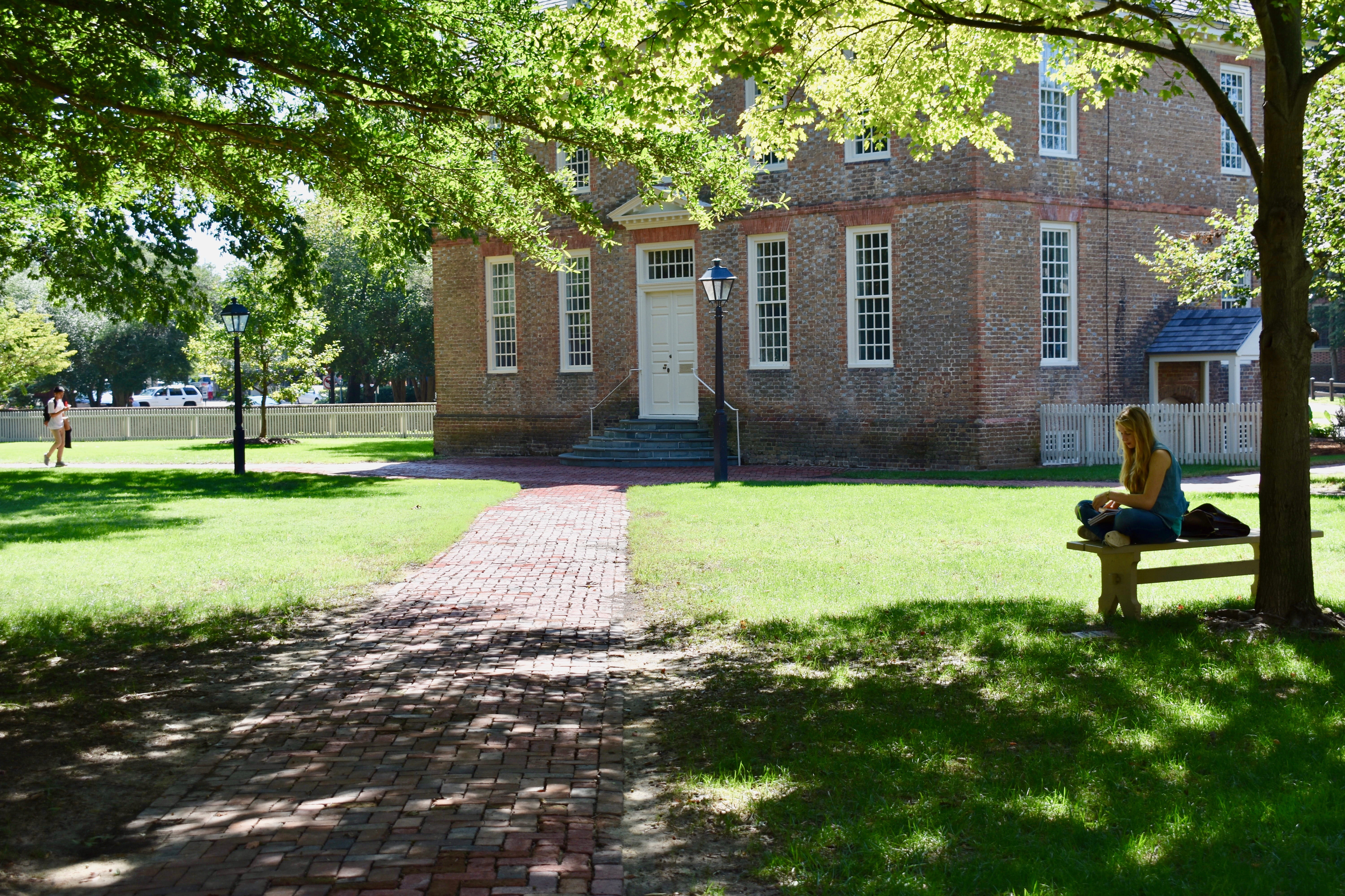 bench, sunlight, william and mary, plant, tree, building, seat, green color, full length, built structure, real people, nature, 5K, united states, grass, HD Wallpaper