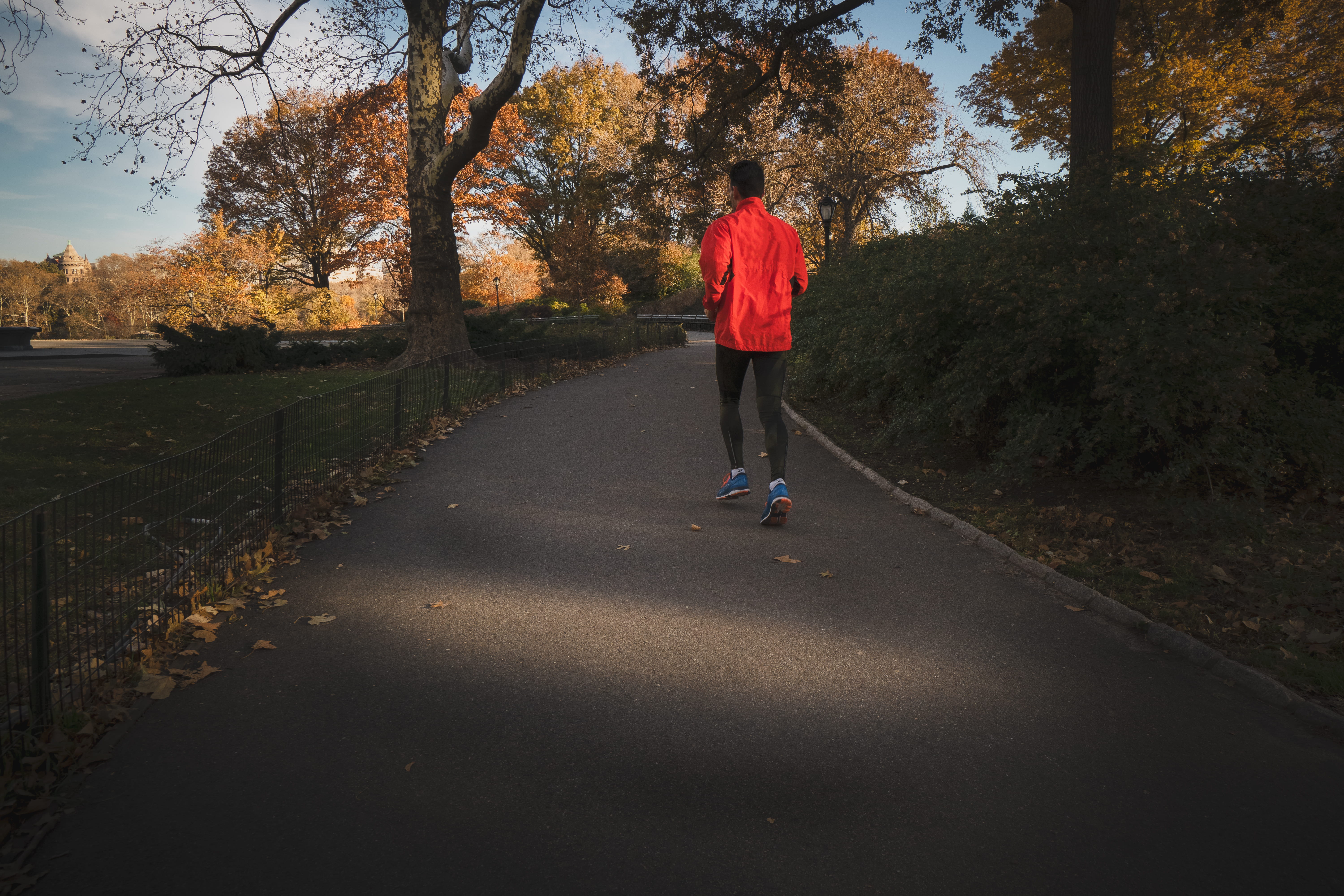 tree, healthy lifestyle, daytime, the way forward, sport, man, concrete, plant, running, road, jogging, male, 5K, full length, one person, gray, direction, HD Wallpaper