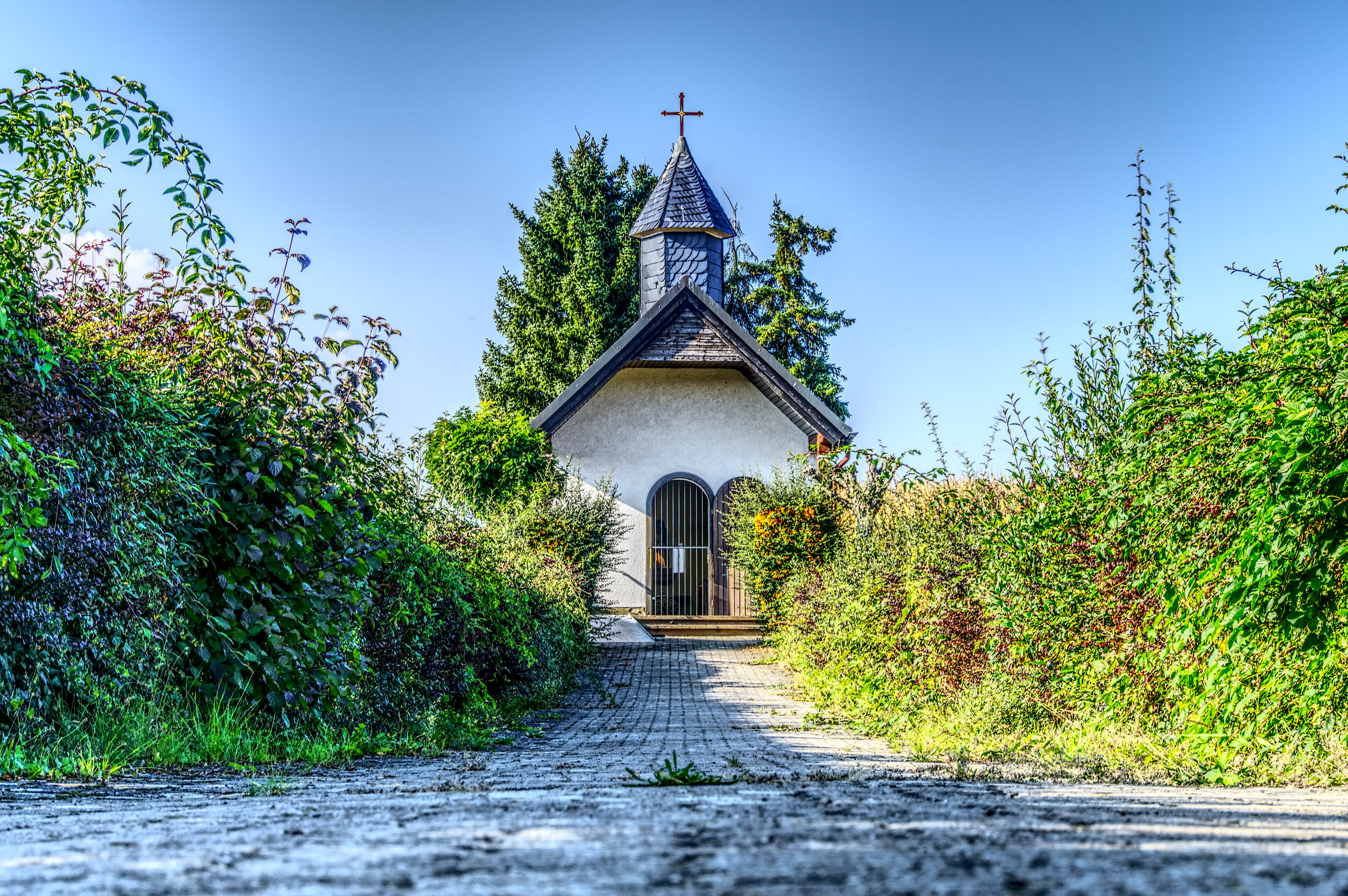 belief, hdr, pray, plant, building, bell tower, direction, shrubs, sky, growth, architecture, outdoors, building exterior, away, contrast, cross, green, HD Wallpaper