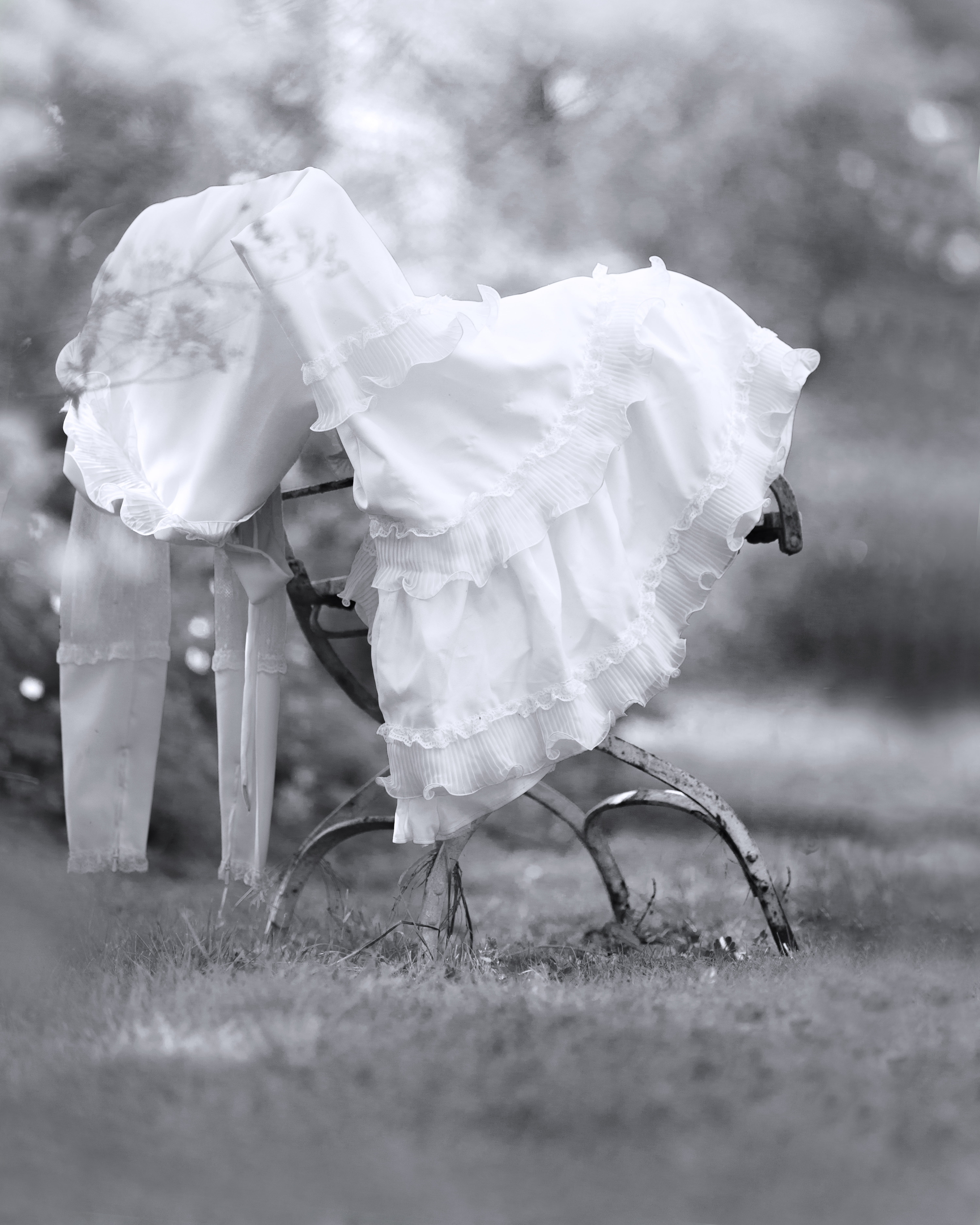 love, 5K, romance, newlyweds, event, plant, bride, animal themes, wedding ceremony, life events, day, focus on foreground, field, celebration, vintage, Phone HD Wallpaper