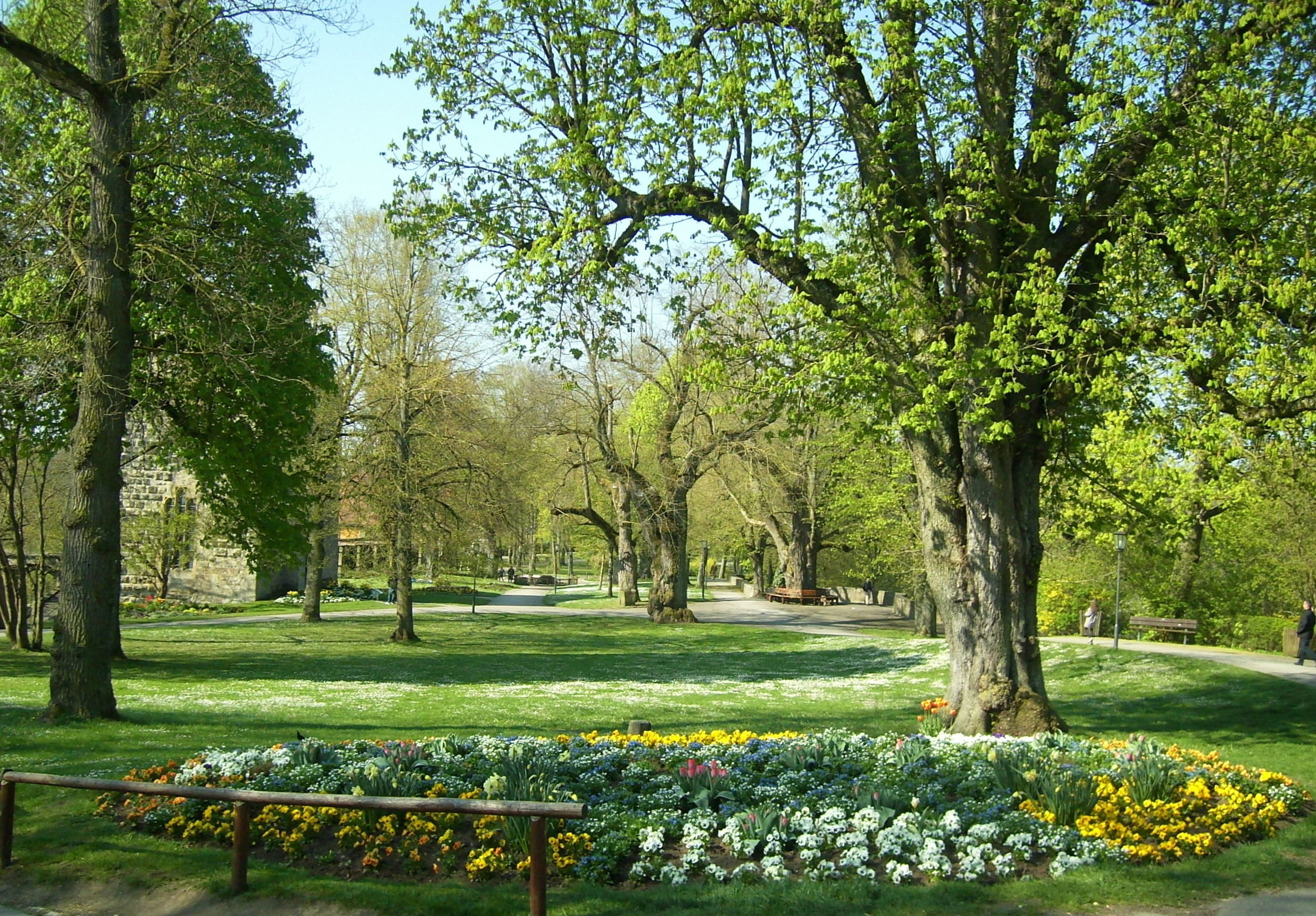 flowering plant, Garden, growth, land, springtime, no people, spring, nature, Tauber, Trees, freshness, tree trunk, day, scenics - nature, flowerbed, outdoors, HD Wallpaper