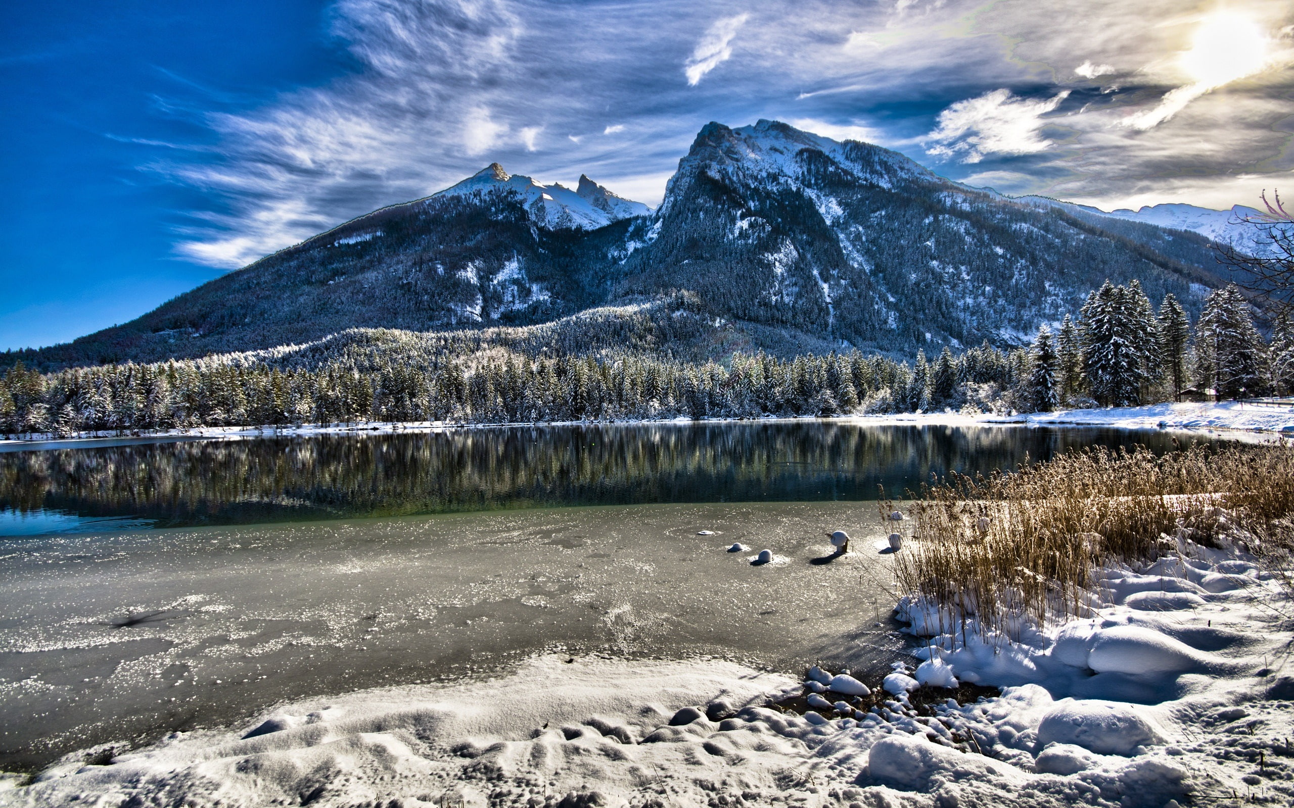 Winter, Snow, Trees, Germany, Bavaria, Lake, 2K, Mountains, HD Wallpaper