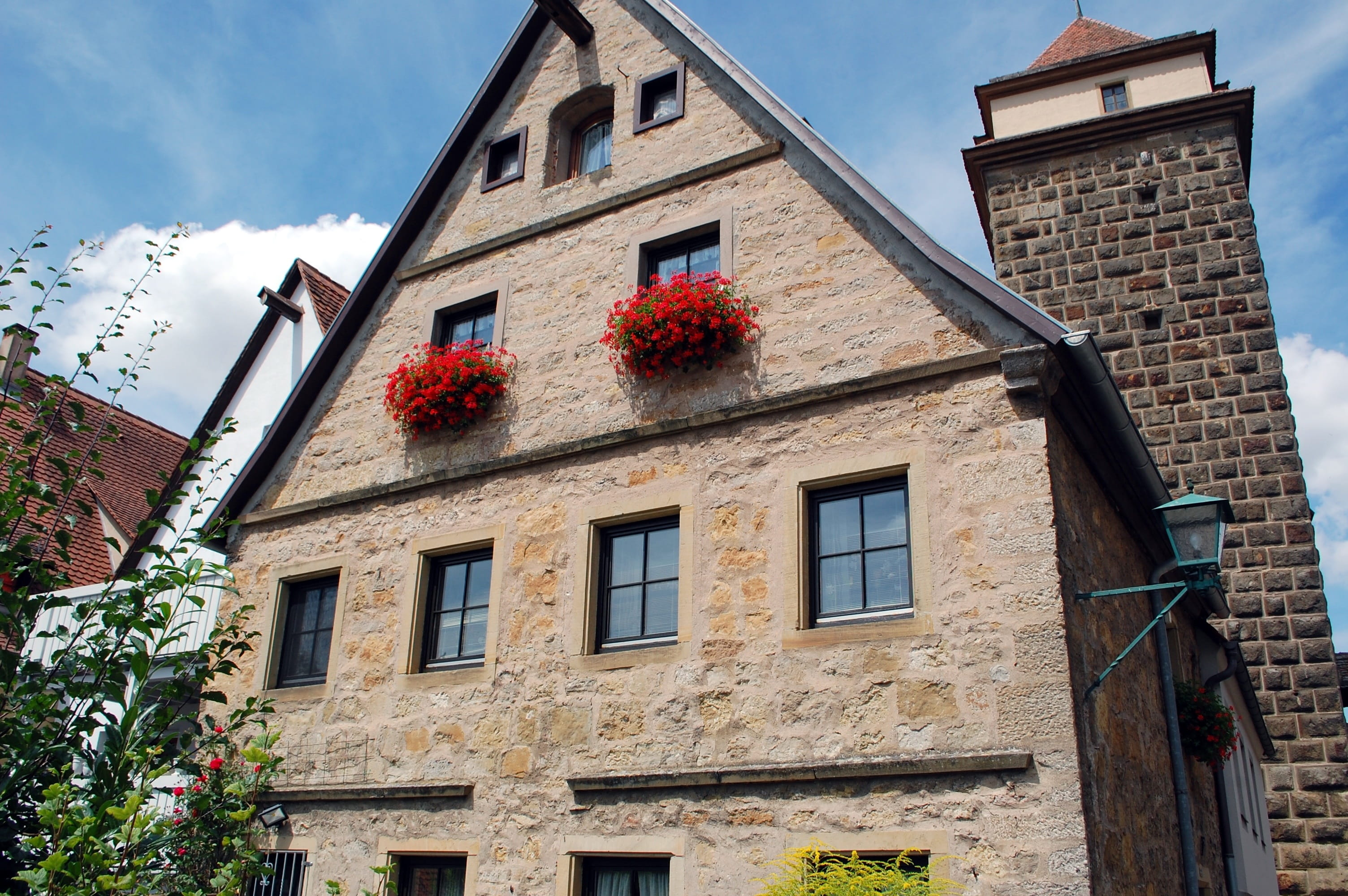 historically, outdoors, built structure, architecture, flower, window, old, historic center, low angle view, residential district, berry fruit, germany, HD Wallpaper