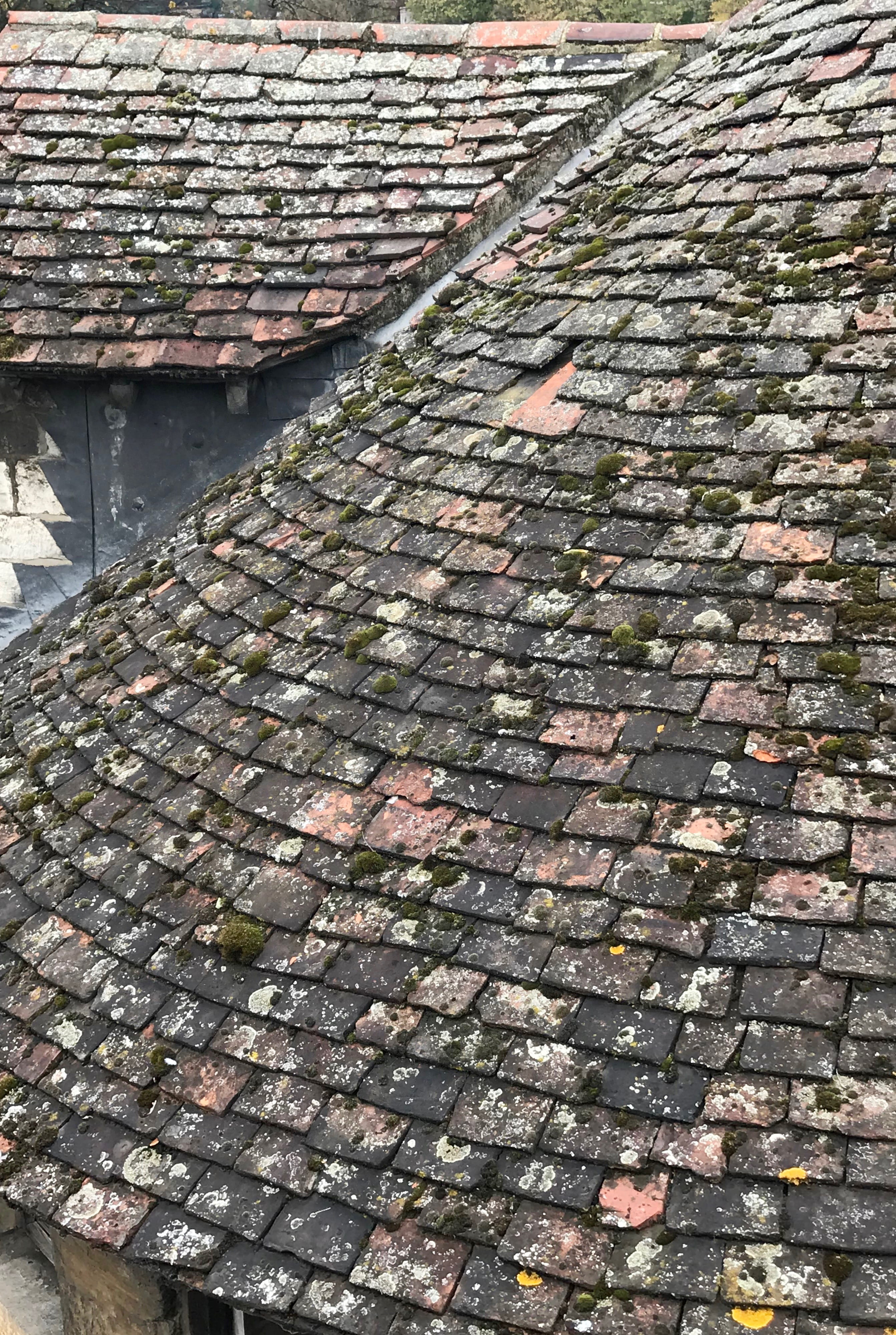 close-up, moss on the roof, high angle view, footpath, 4K, pattern, rooftop, no people, day, united kingdom, built structure, old english roof, textured, Phone HD Wallpaper