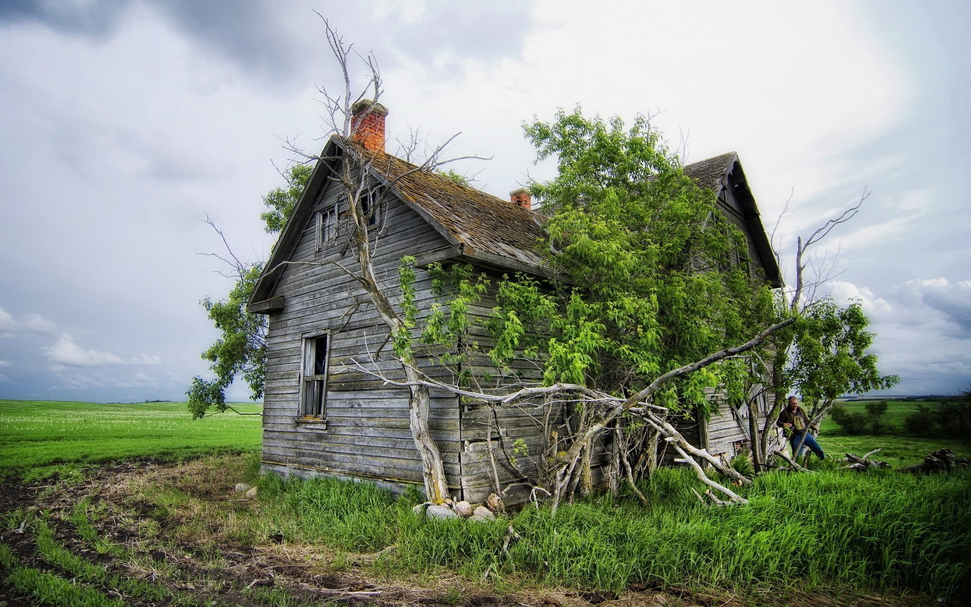 timber, house, lost house, vintage house, 1080P, green plant, old, HD Wallpaper