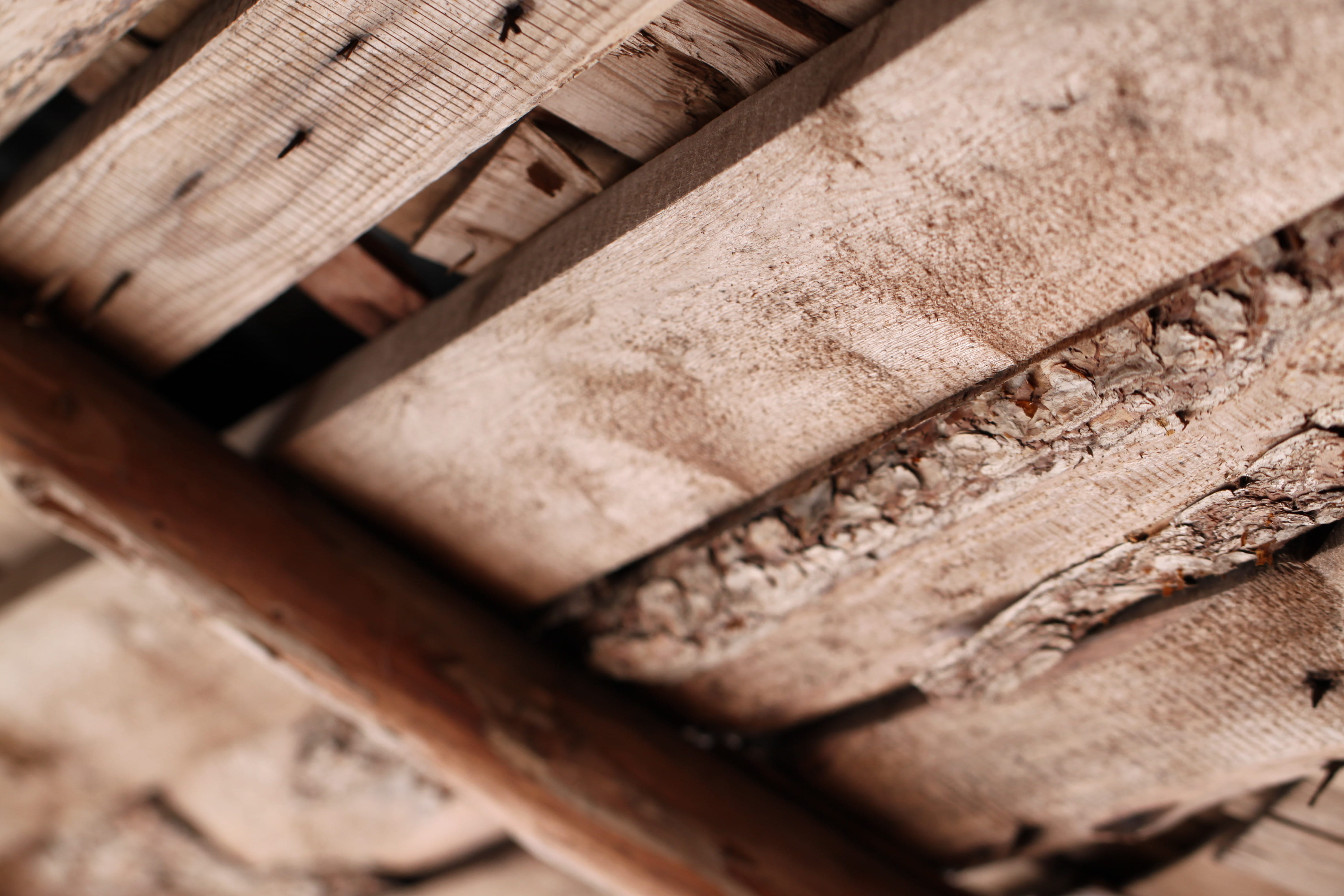 man made object, structure, antique, close-up, old, industry, interior, dirty, aged, skill, 4K, hardwood, food and drink, house, Wooden, timber, machinery, HD Wallpaper