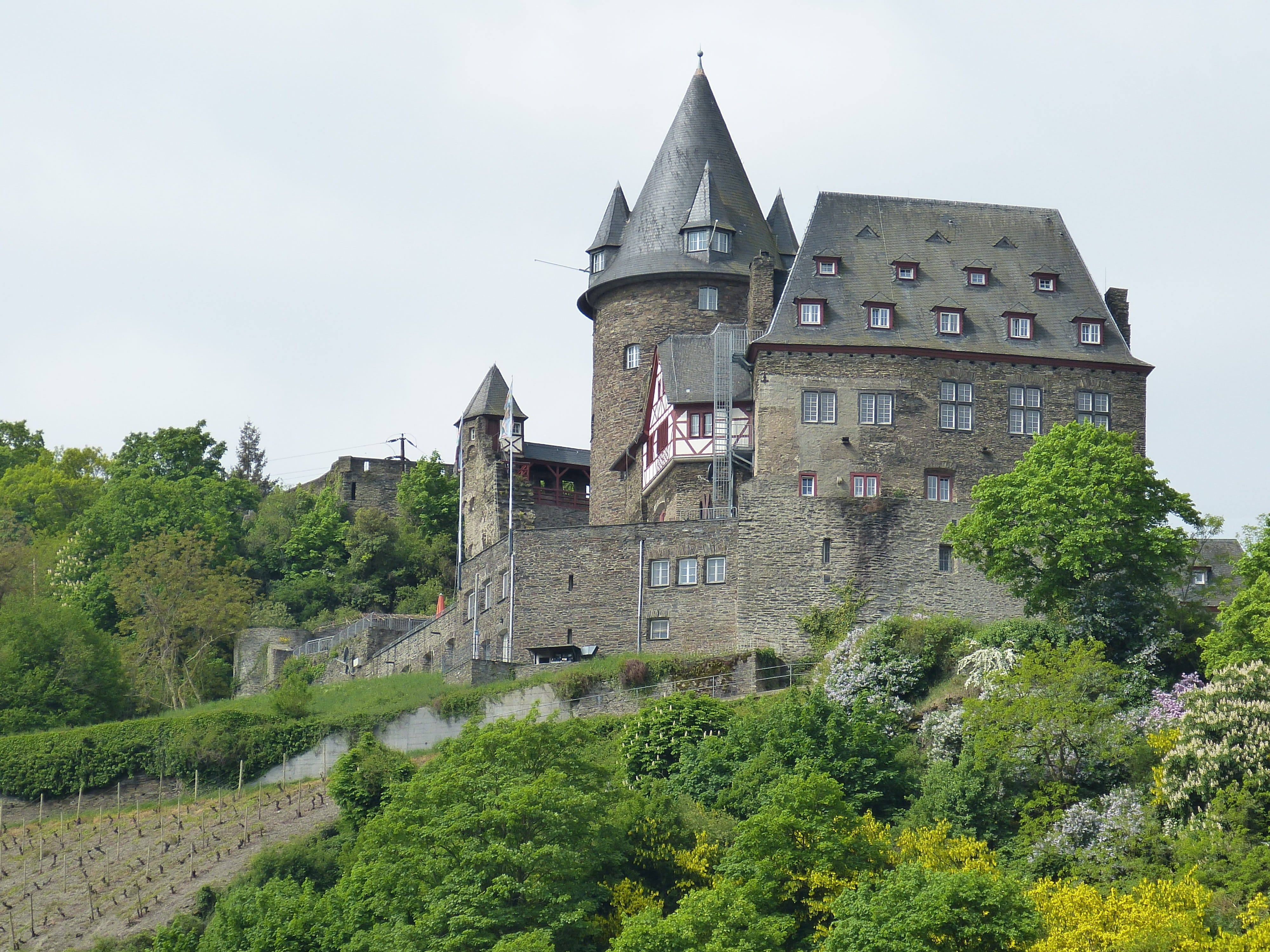 outdoors, unesco world heritage, architecture, nature, places of interest, building exterior, bacharach, castle, tree, stahleck, green color, plant, old, HD Wallpaper
