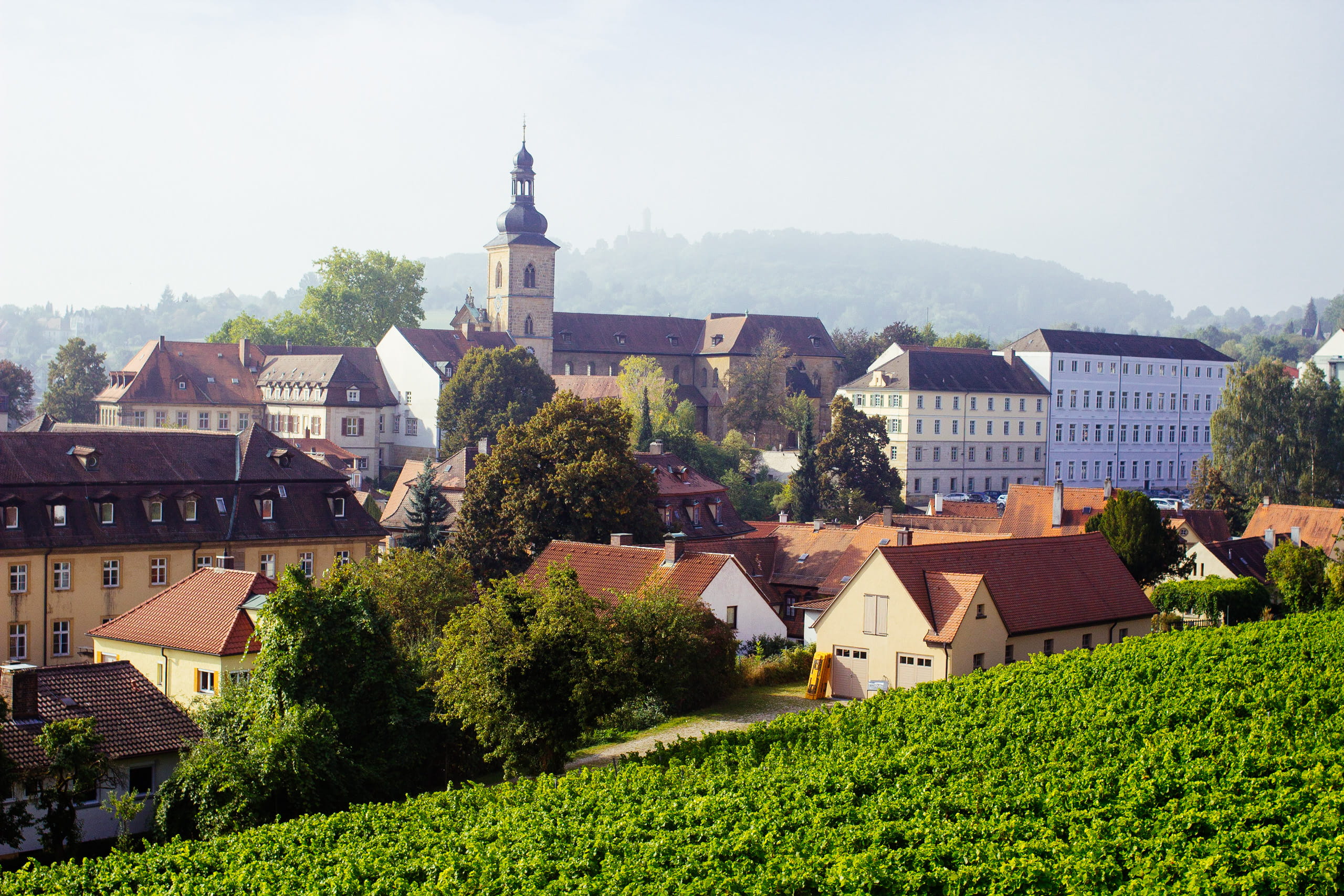 altenburg, growth, wine, day, built structure, nature, building, michelsberg, house, architecture, outdoors, st. jakob, 2K, town, building exterior, church, HD Wallpaper