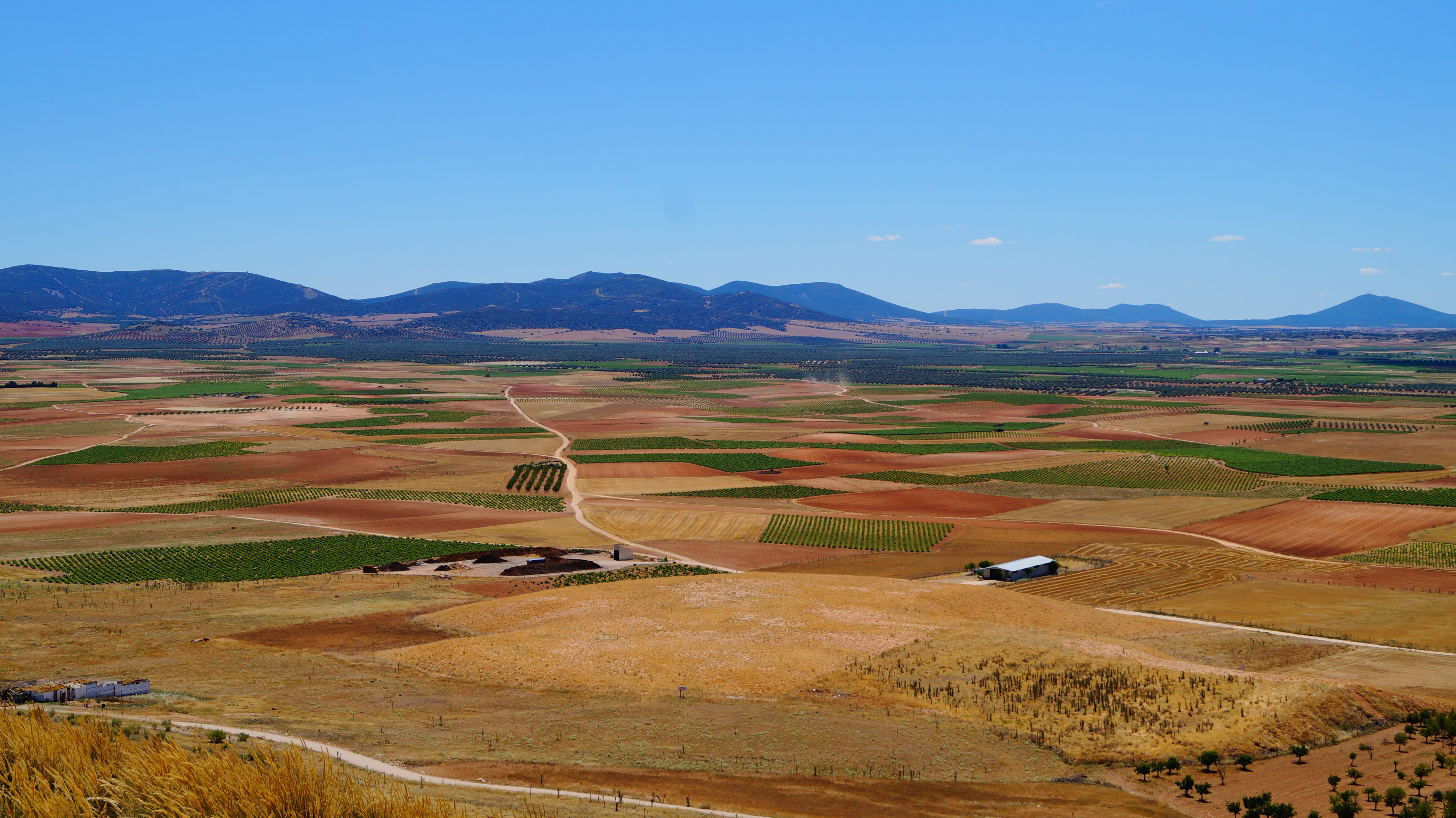 cervantes, la mancha, outdoors, agriculture, no people, idyllic, tourism, 5K, spain, scenics - nature, land, tranquility, rural scene, landscape, ecology, HD Wallpaper