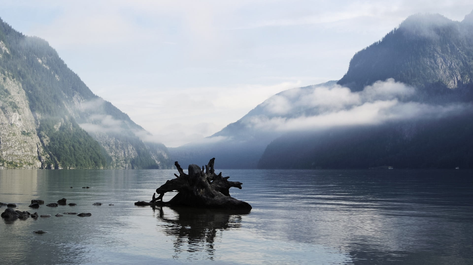 alpine, tree, outdoors, 1080P, bartholomä st, sky, animal wildlife, animal themes, mountains, bavaria, animals in the wild, lake, landscape, cloud - sky, HD Wallpaper