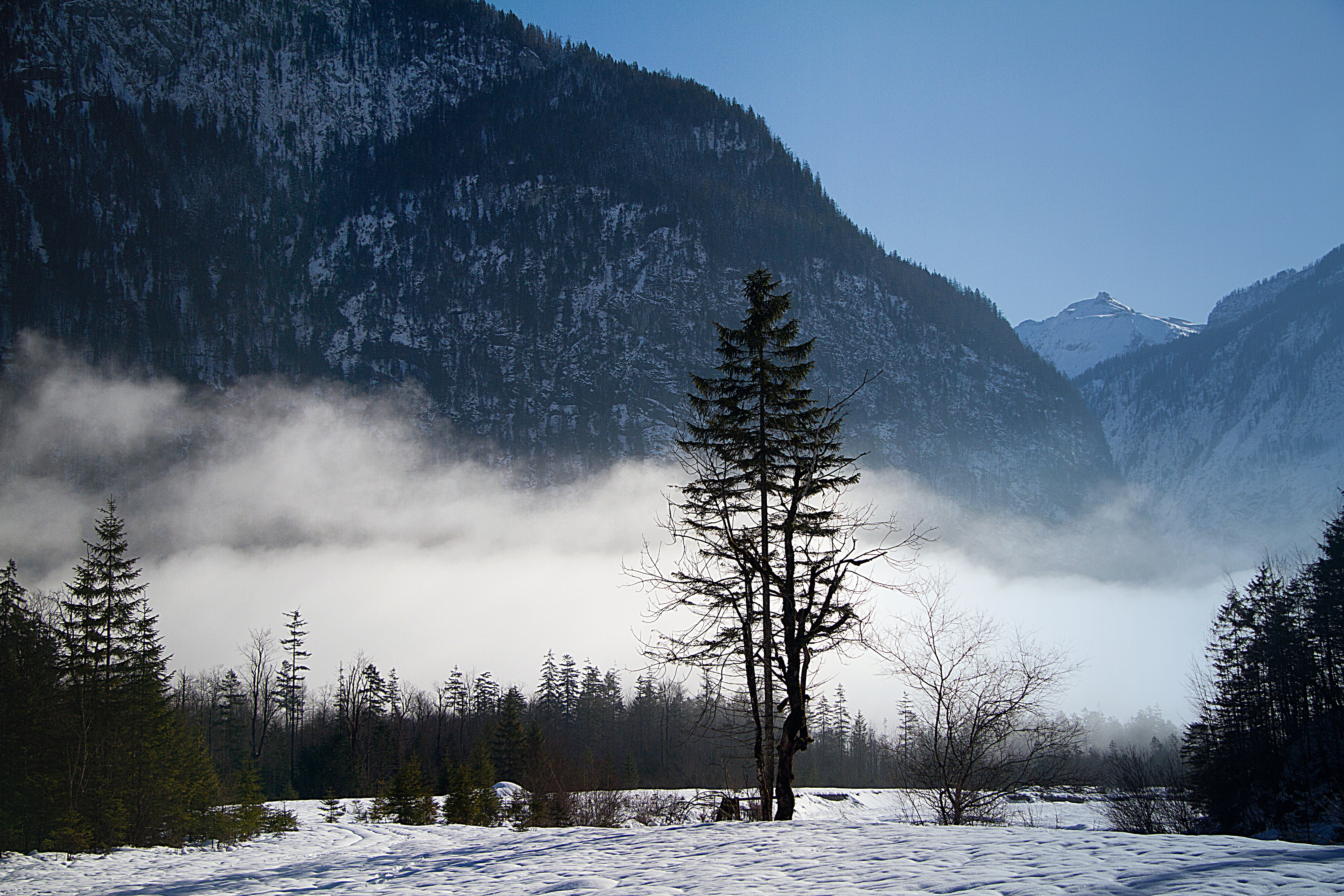 snowcapped mountain, berchtesgaden national park, mountain range, scenics, bartholomä st, snowing, cold temperature, beauty in nature, pine woodland, coniferous tree, HD Wallpaper
