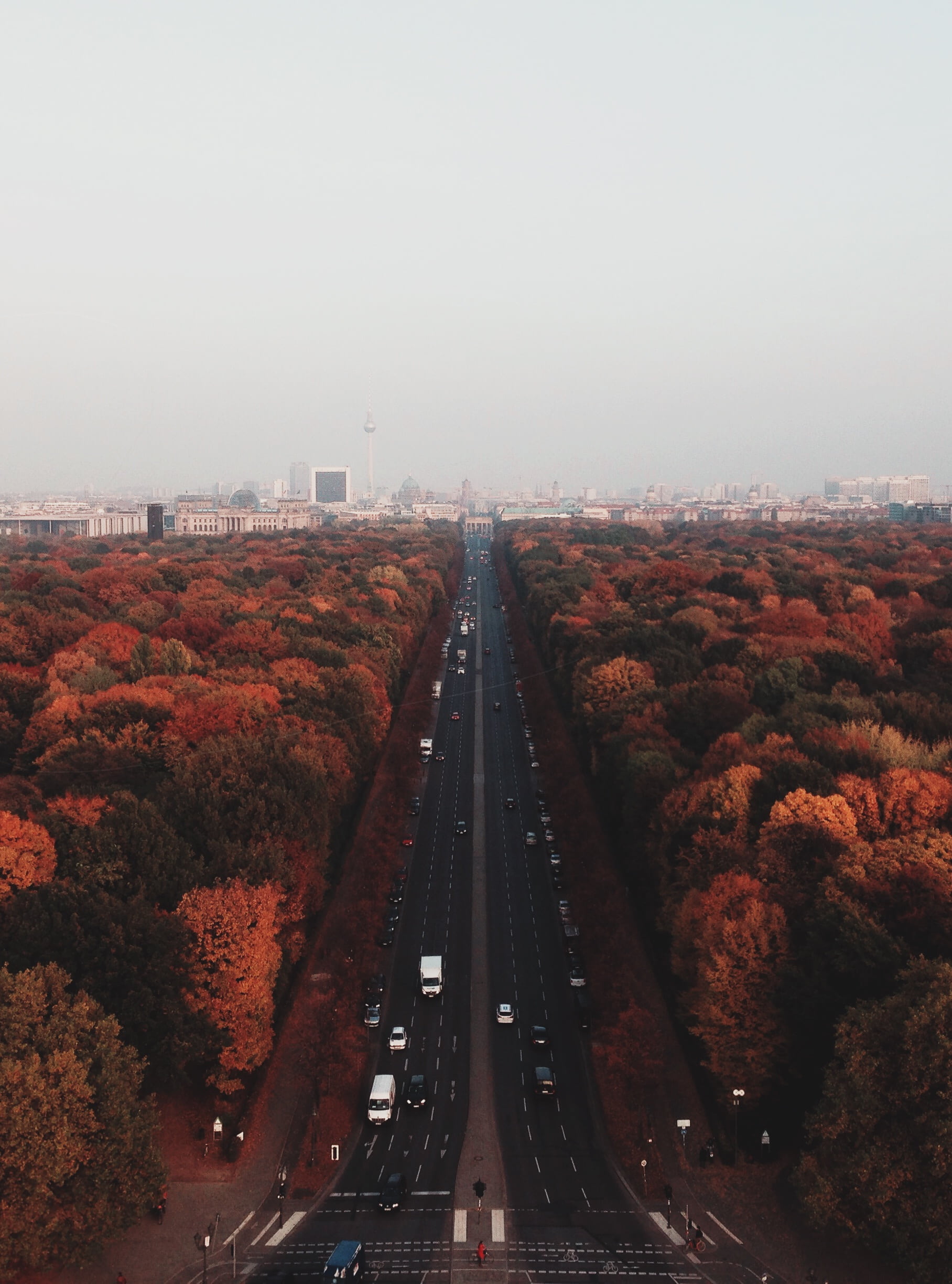 1080P, nature, berlin, transportation, autumn, no people, architecture, highway, mode of transportation, tree, outdoors, diminishing perspective, direction, Phone HD Wallpaper