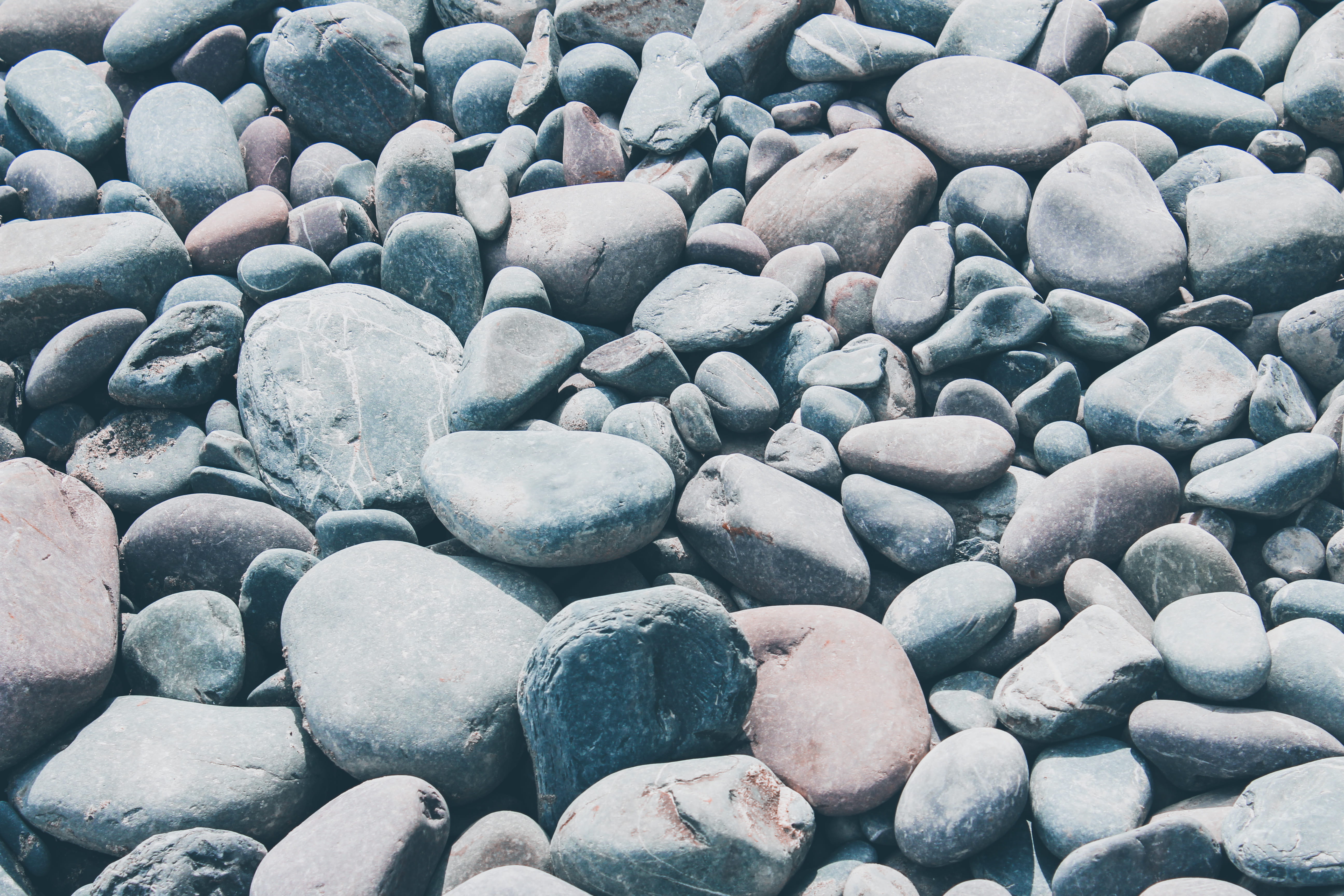 rug, stones, land, shape, mammal, sea life, grey, stone, rock, beach, path, walkway, tranquility, sidewalk, invertebrate, clothing, pavement, full frame, HD Wallpaper