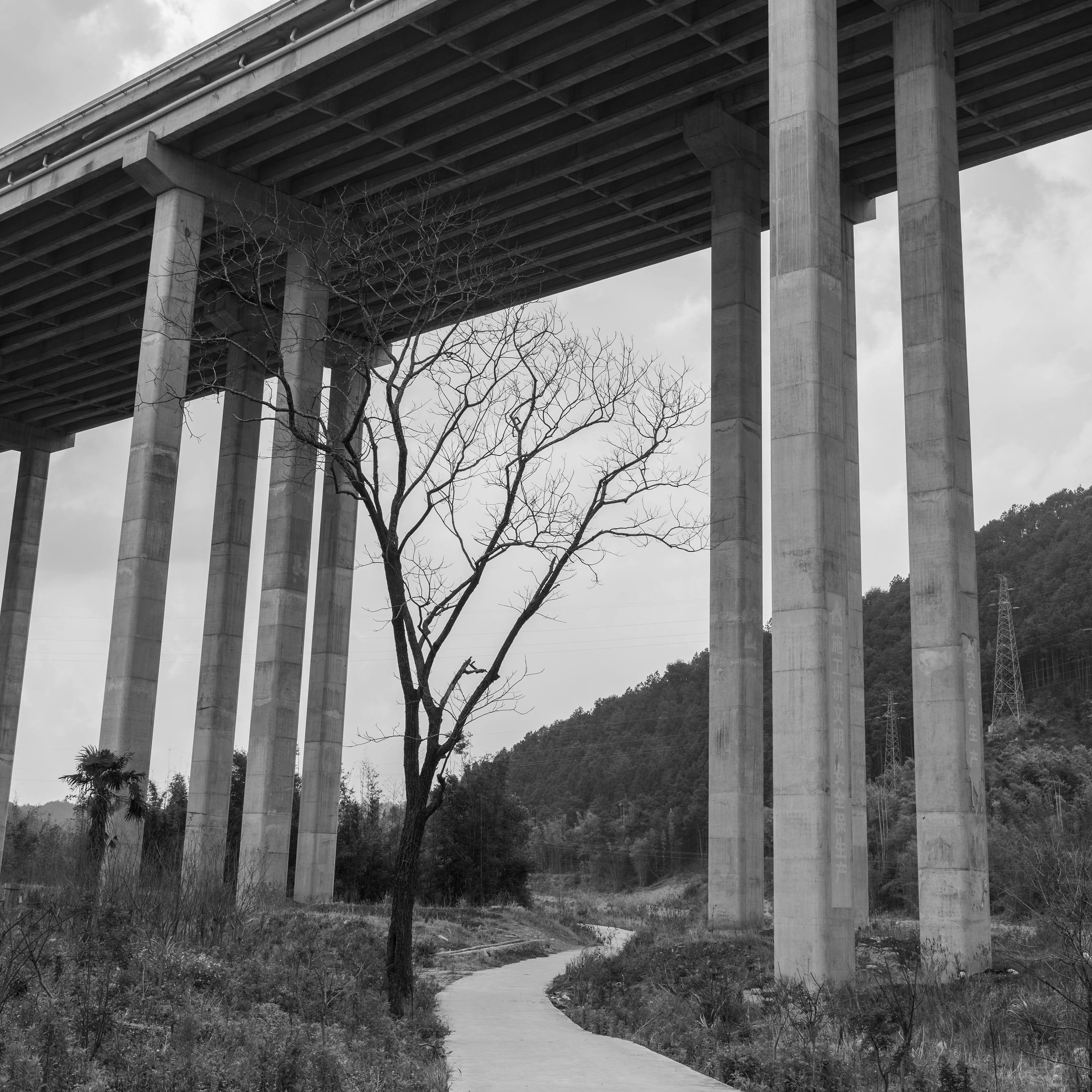 road, sidewalk, bridge, nature, low angle view, architectural column, tarmac, building exterior, viaduct, overpass, sky, pavement, column, outdoors, china, Phone HD Wallpaper
