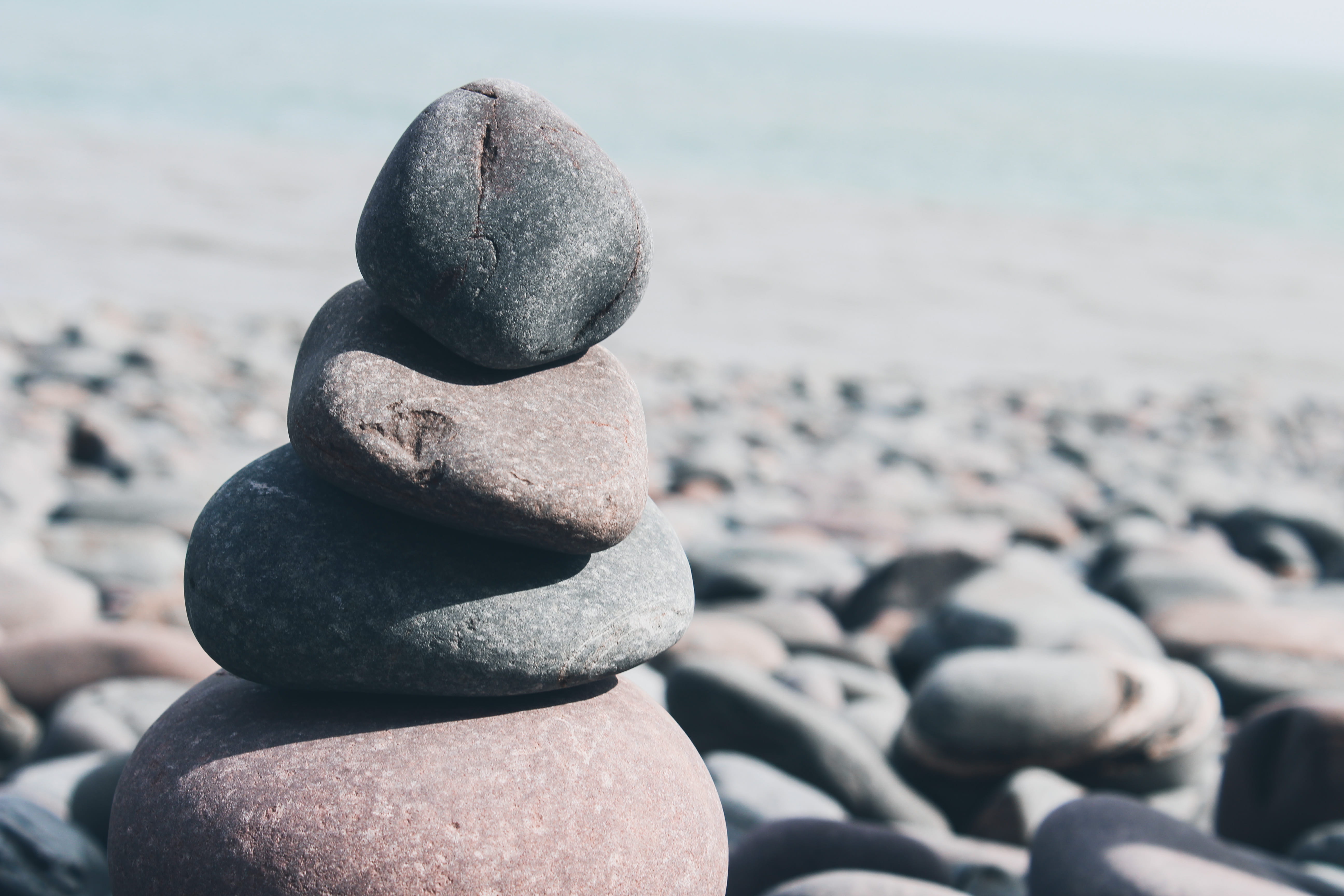 animal, rock - object, wren, nature, day, portrait, solid, land, selfie, driftwood, wood, stack, tranquility, sidewalk, stone, photo, pavement, photography, HD Wallpaper