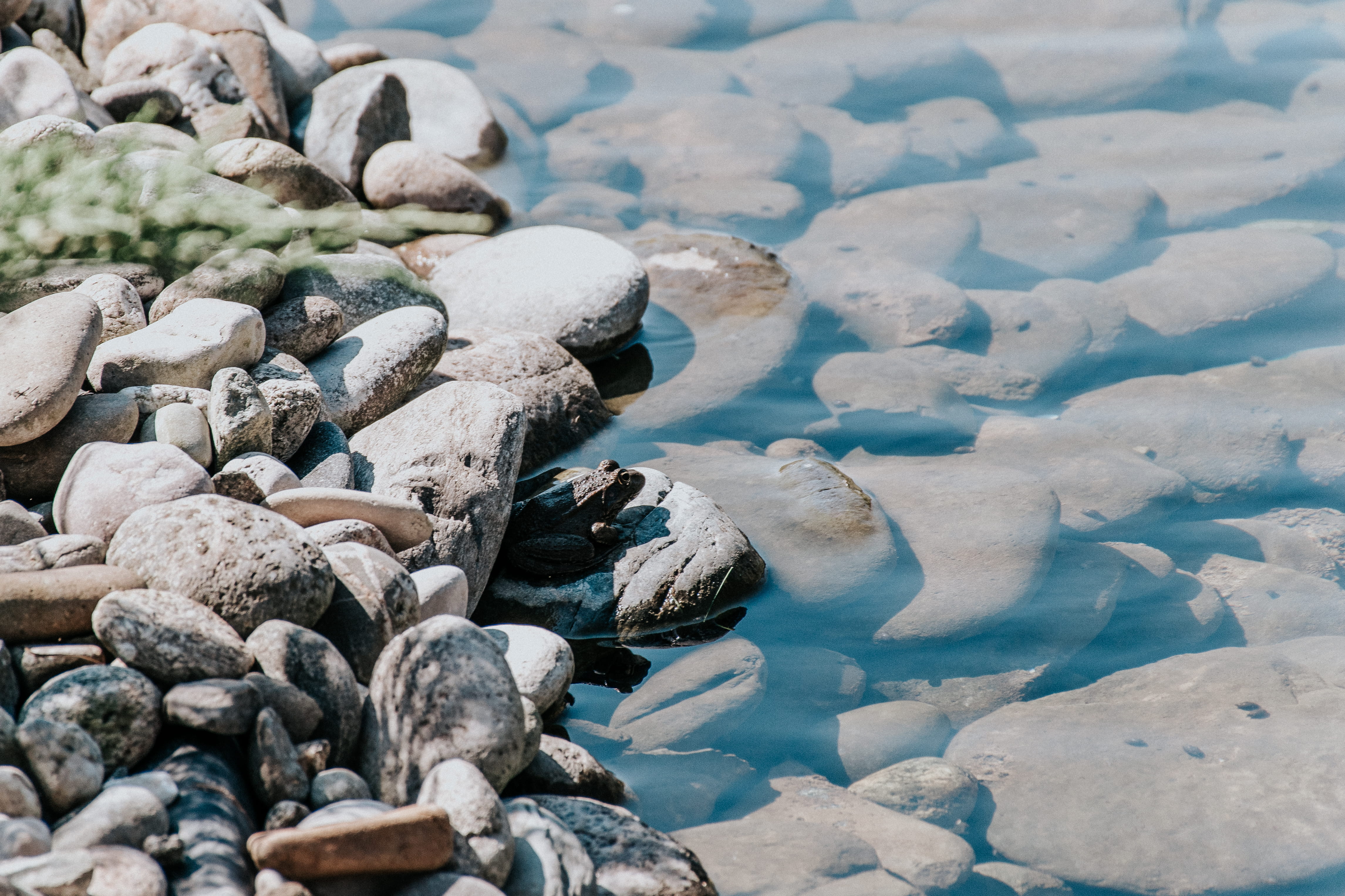 tranquility, coast, land, solid, grey, tranquil scene, pebble, sidewalk, ocean, cobblestone, rubble, day, rock, walkway, no people, beach, sochi olympic park, HD Wallpaper