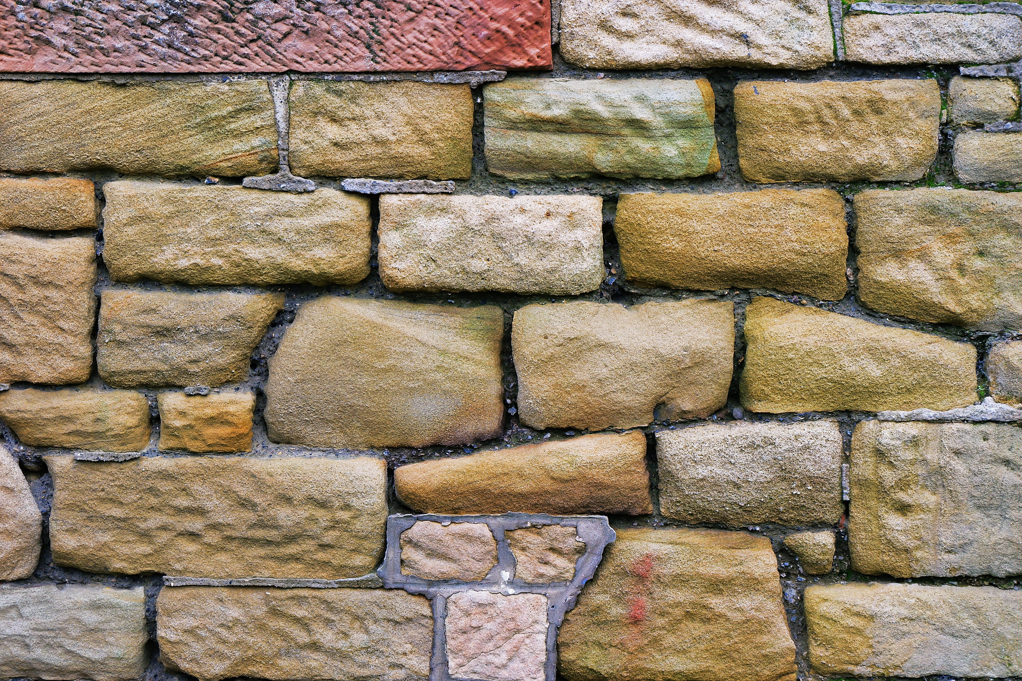 moss, arrangement, foxglove, brick, 2K, close-up, slate, pavement, architecture, rock, pattern, wall, no people, bricked, closeup, repetition, side by side, HD Wallpaper