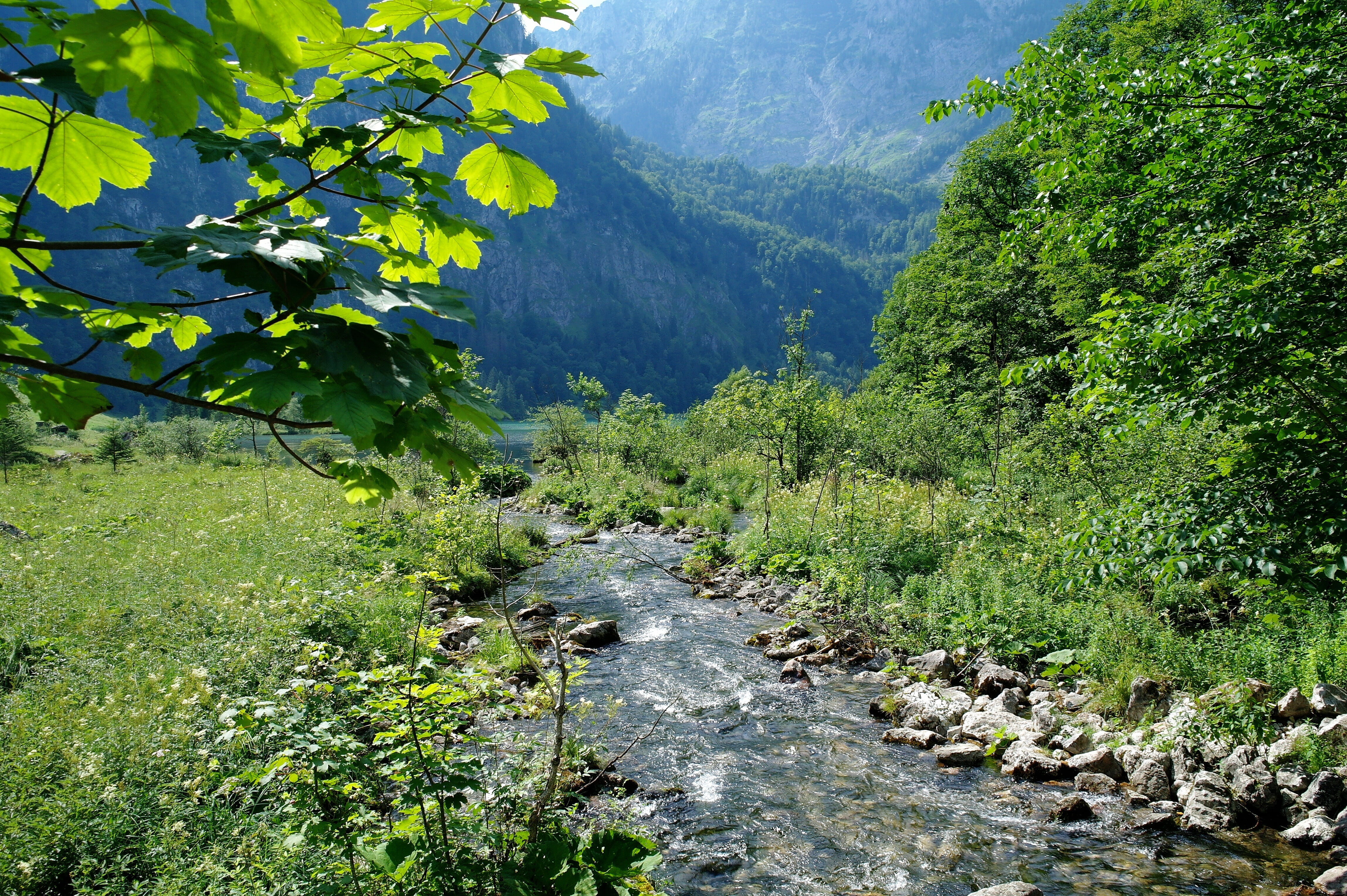 landscape, outdoors, scenics - nature, green color, holiday, beauty, beautiful, day, no people, berchtesgaden, forest, mountains, flowing water, more, land, HD Wallpaper