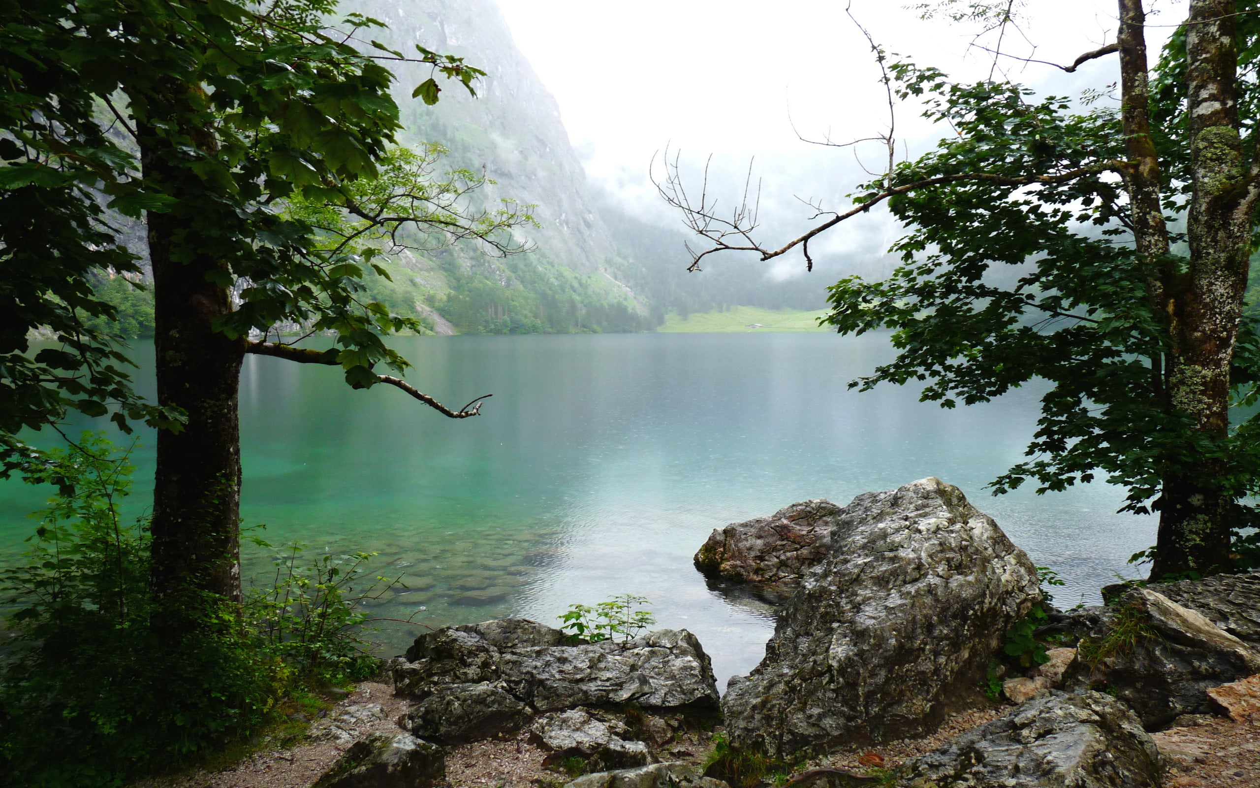fog, idyllic, bavaria, growth, flowing water, water, beauty in nature, outdoors, solid, tranquility, plant, no people, non-urban scene, tree, rock, rock - object, HD Wallpaper