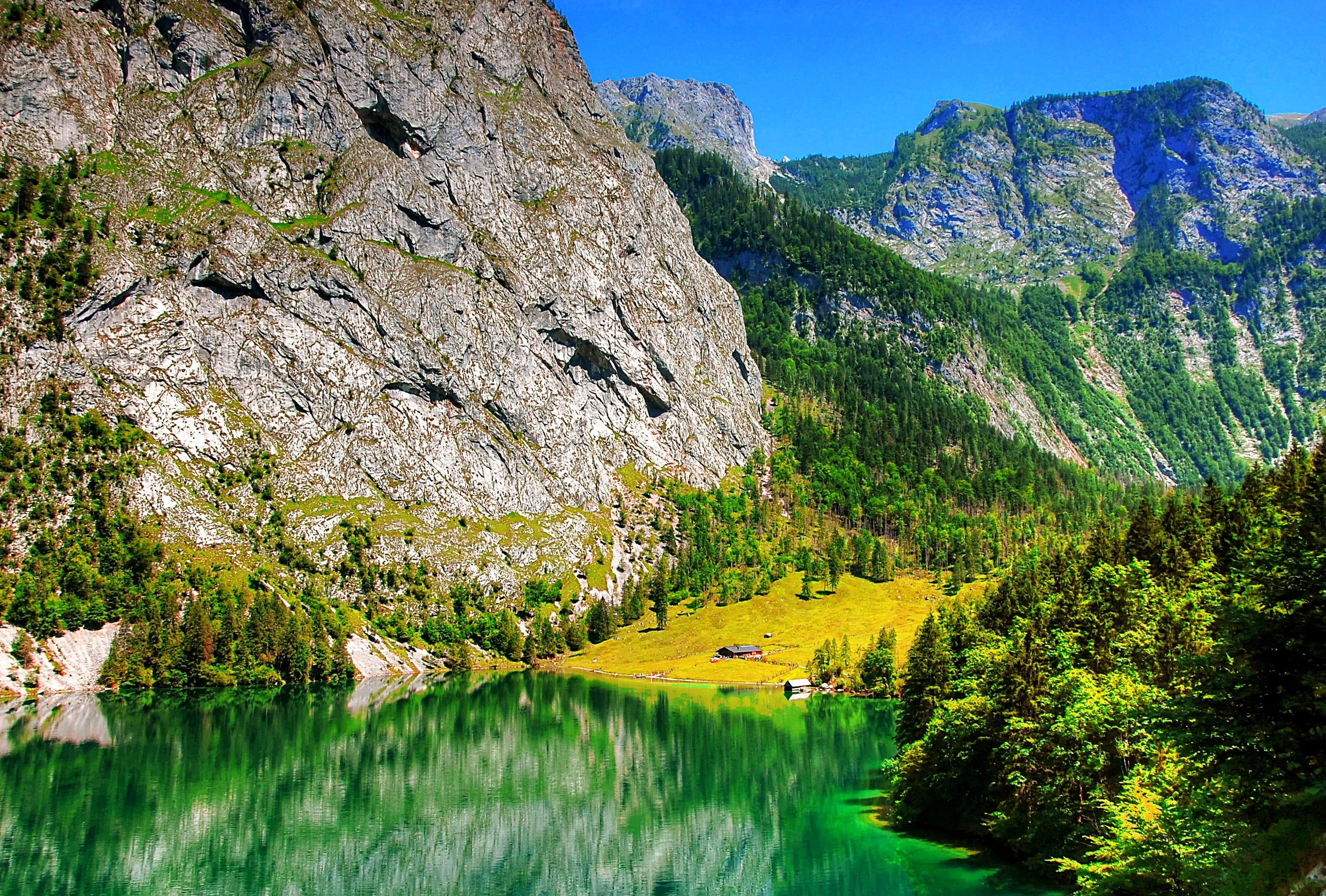 outdoors, tree, salet, idyllic, tranquil scene, upper lake, bavaria, view, plant, more, germany, lake, no people, massif, forest, landscape, water, stones, HD Wallpaper