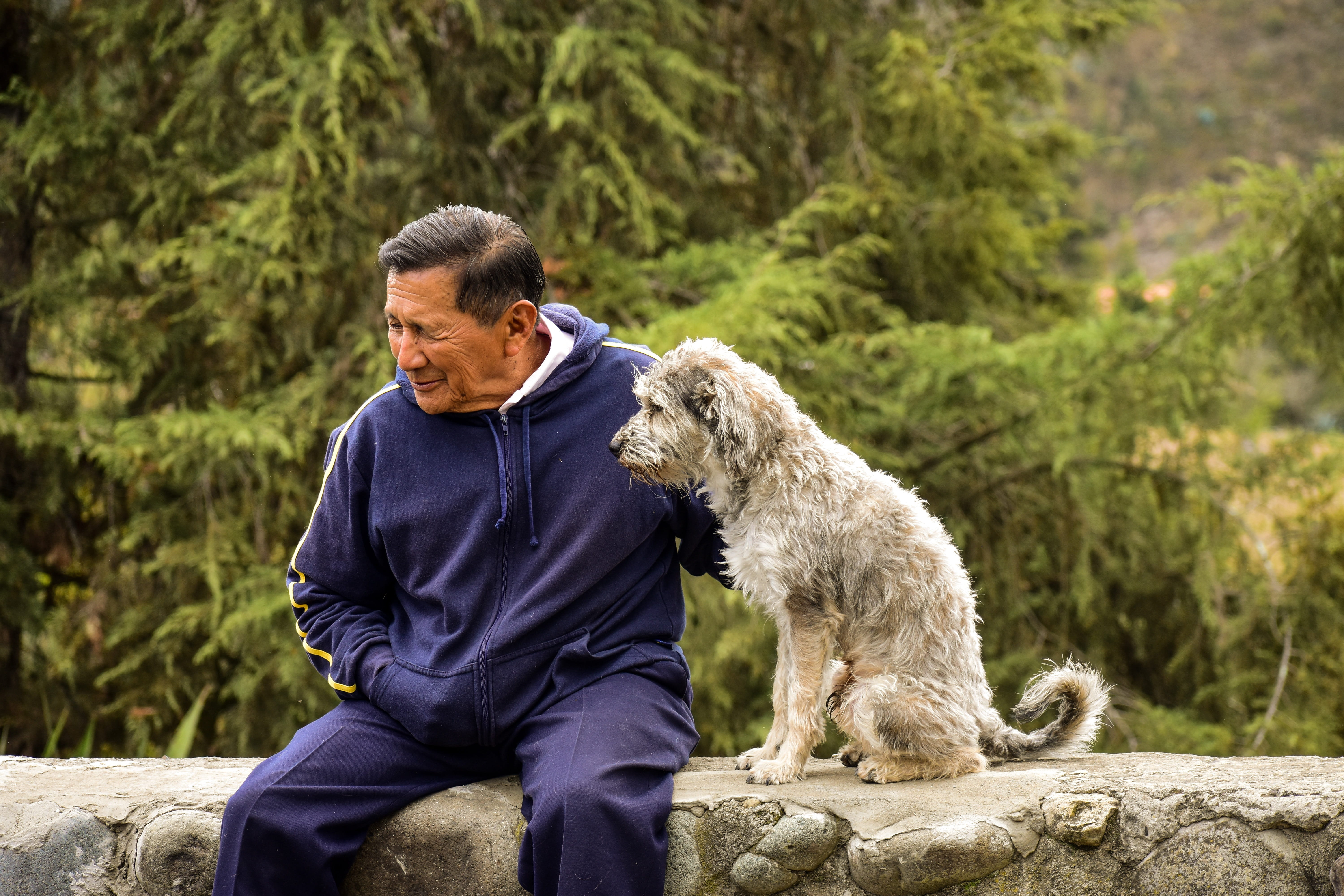 sitting, canine, domestic animals, older, mammal, outdoors, real people, pet with its master, lifestyles, men, leisure activity, senior adult, males, one person, HD Wallpaper