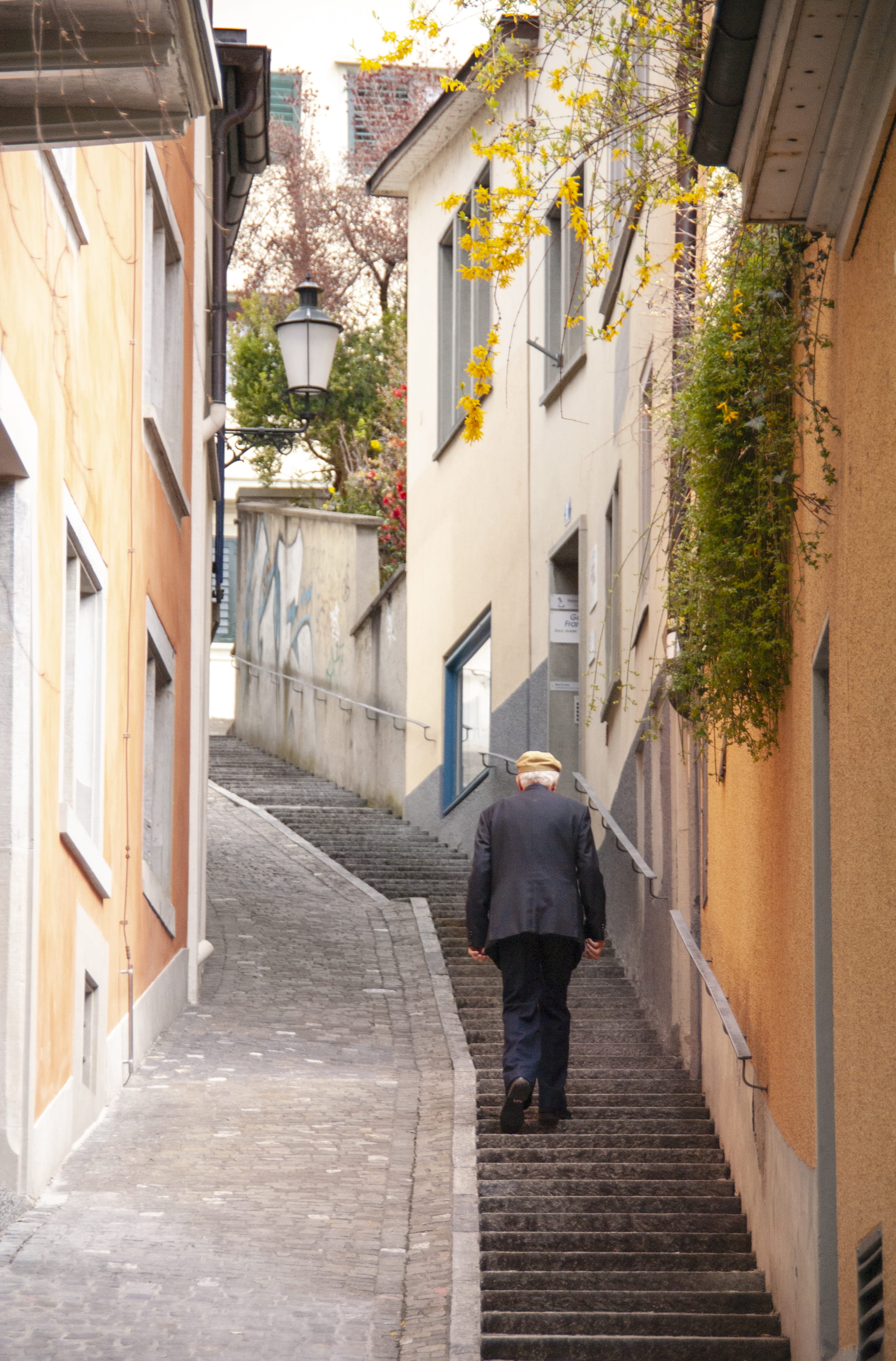 footpath, house, residential district, nature, one person, walking, the way forward, real people, men, alley, 2K, zurich, rear view, zürich, full length, Phone HD Wallpaper
