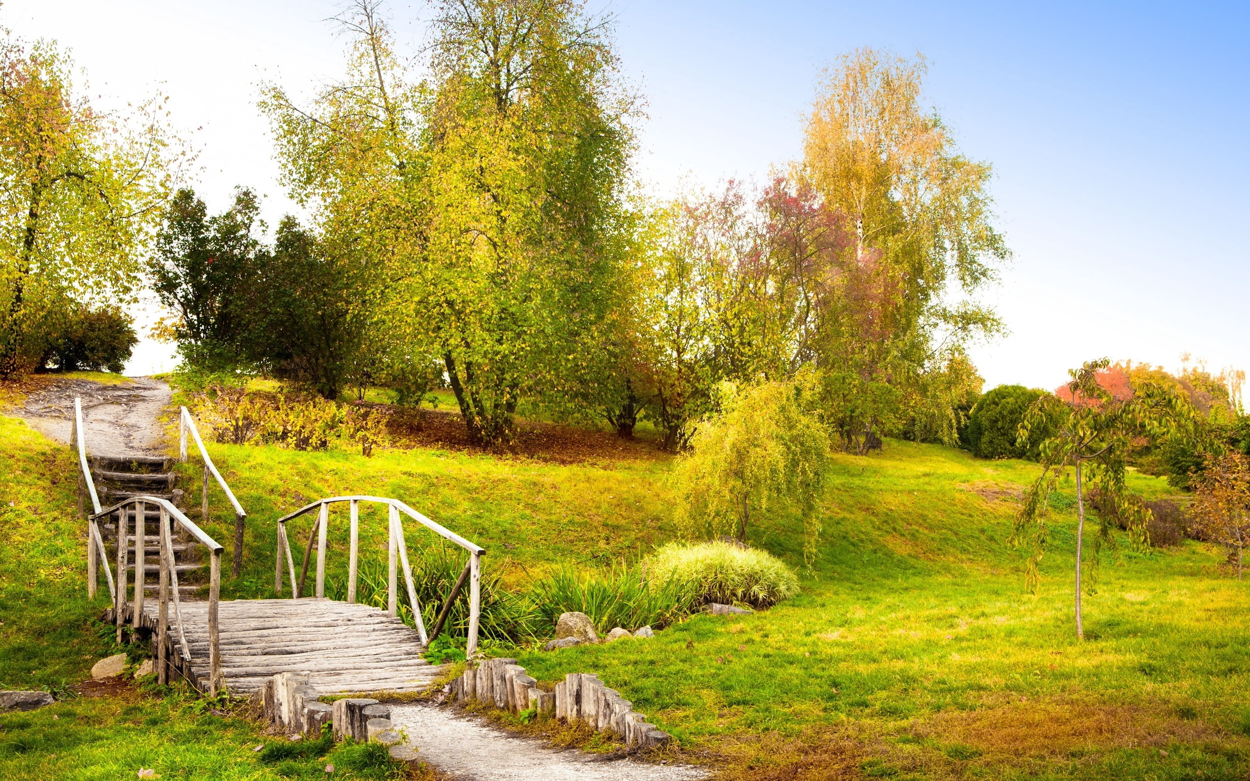meadow, day, relaxation, no People, bush, ladder, bench, green, bridge, land, grass, outdoors, season, landscape, springtime, descent, woodland, leaf, morning, HD Wallpaper