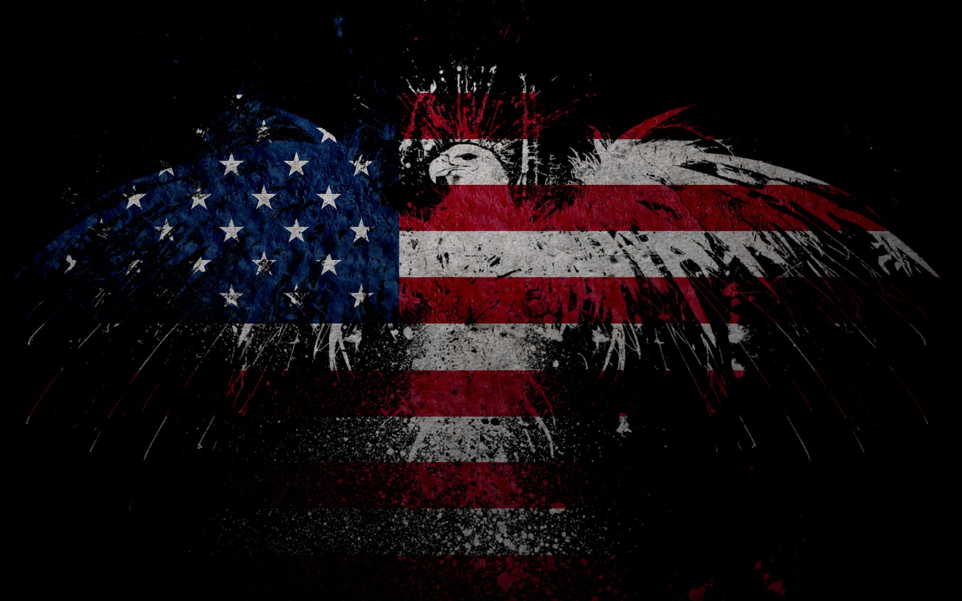 1080P, eagle, flag, 1920x1200, HD Wallpaper