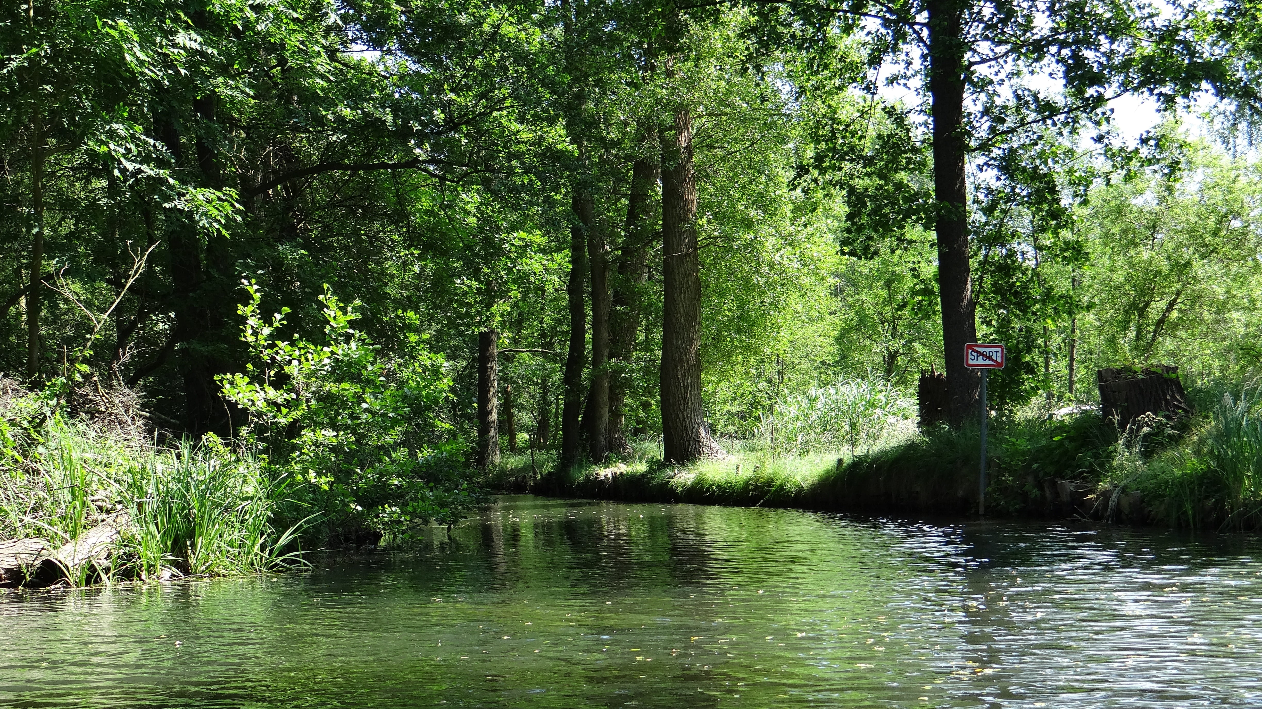 Depth, trees, tranquility, plant, flowing, day, foliage, cultural landscape, Spree, lake, Landscape, tree, channel, summer, swamp, 4K, green Color, growth, HD Wallpaper