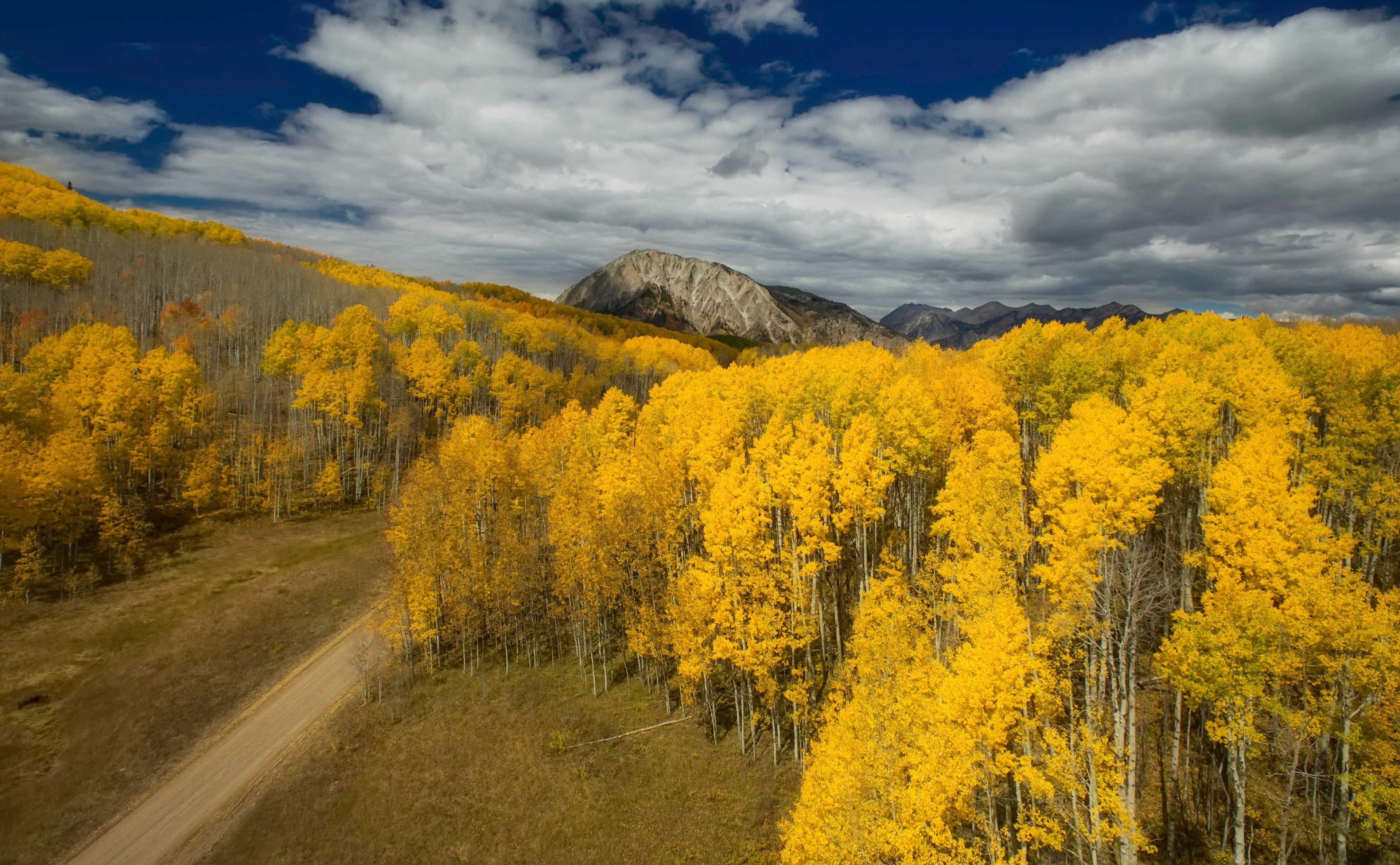 Landscape, sky, tranquility, Photography, United States, environment, tranquil scene, mountain, Trees, Colorado, Beautiful, yellowtrees, tree, cloud - sky, HD Wallpaper