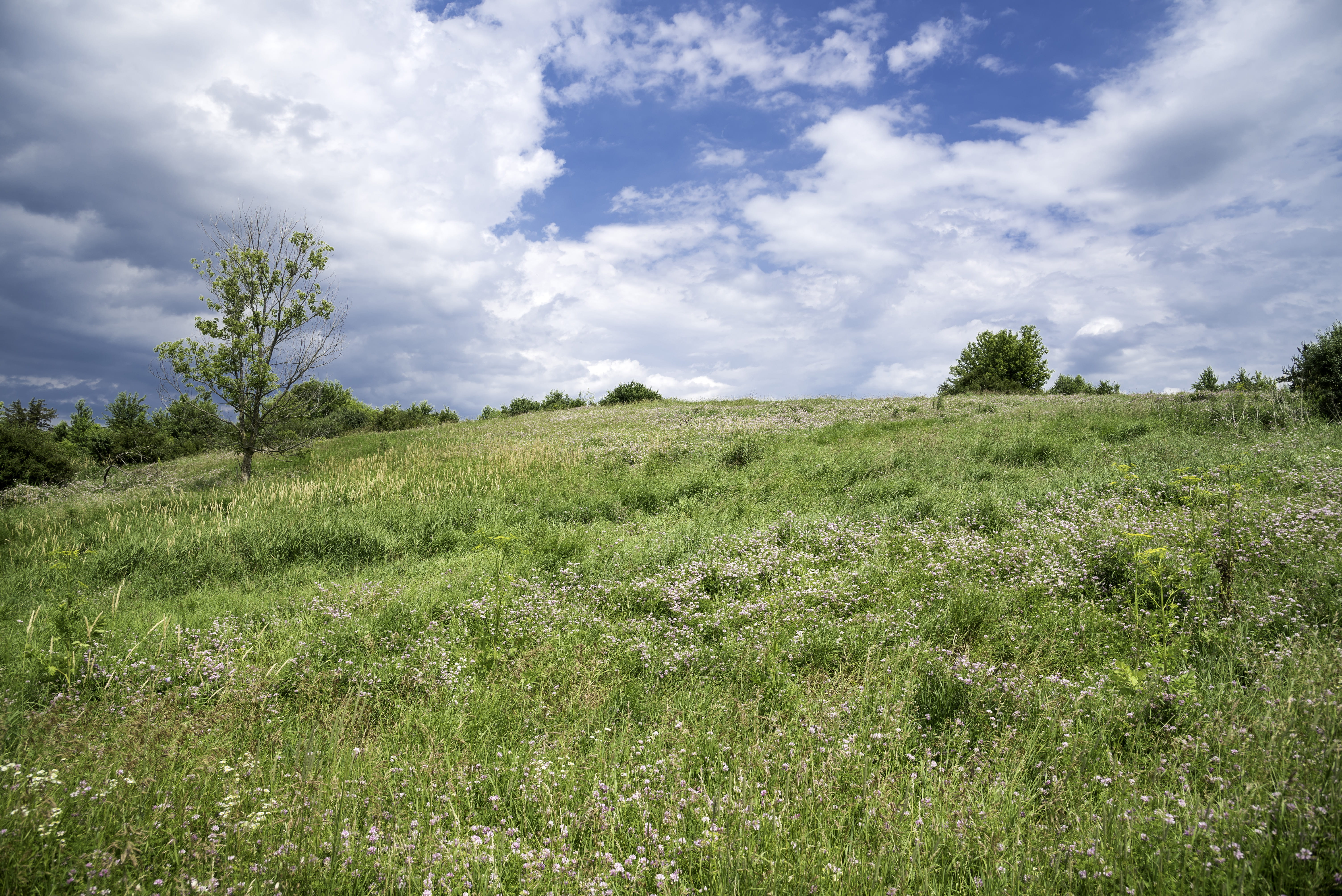 Goose Lake, wildlife, blue, no People, summer, land, beauty In Nature, grass, outdoors, public domain, hill, meadow, clouds, area, scenics - nature, springtime, HD Wallpaper