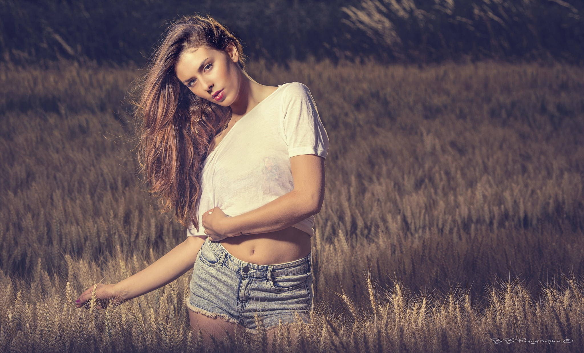 woman, 1080P, field, wheat, photography, HD Wallpaper