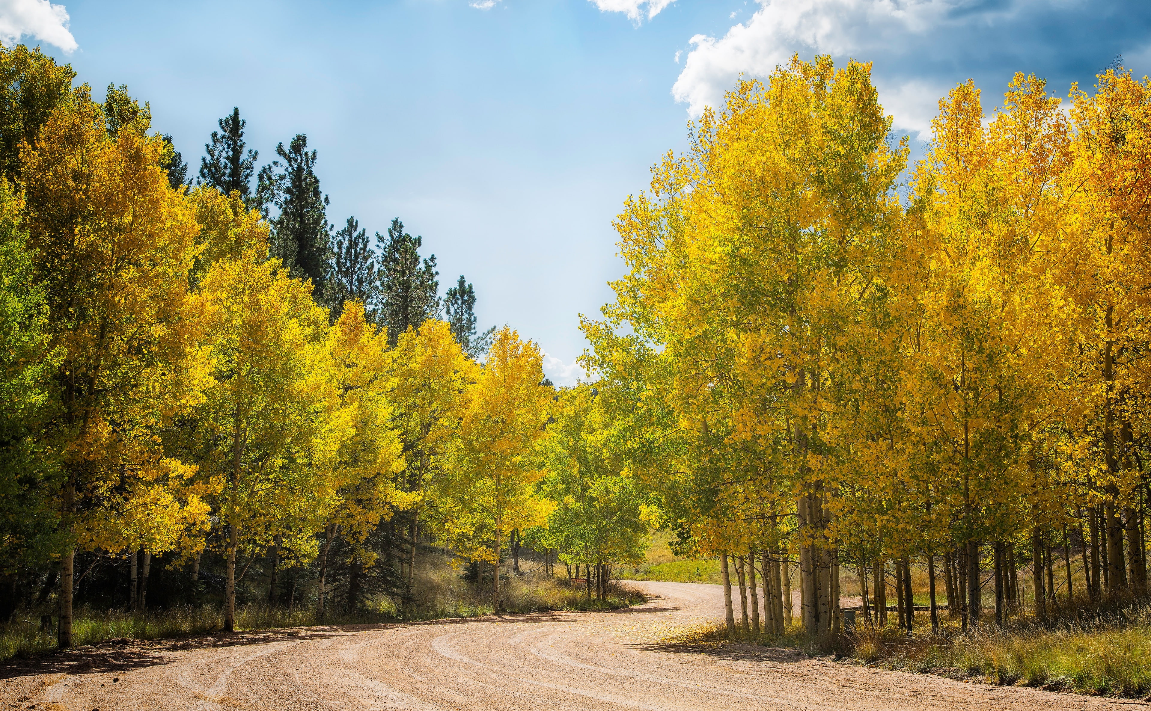 Autumn, changingcolor, plant, foliage, land, Road, dirt, changingleaves, Landscape, autumn collection, Beautiful, Nature, Colorado, no people, View, tourism, HD Wallpaper