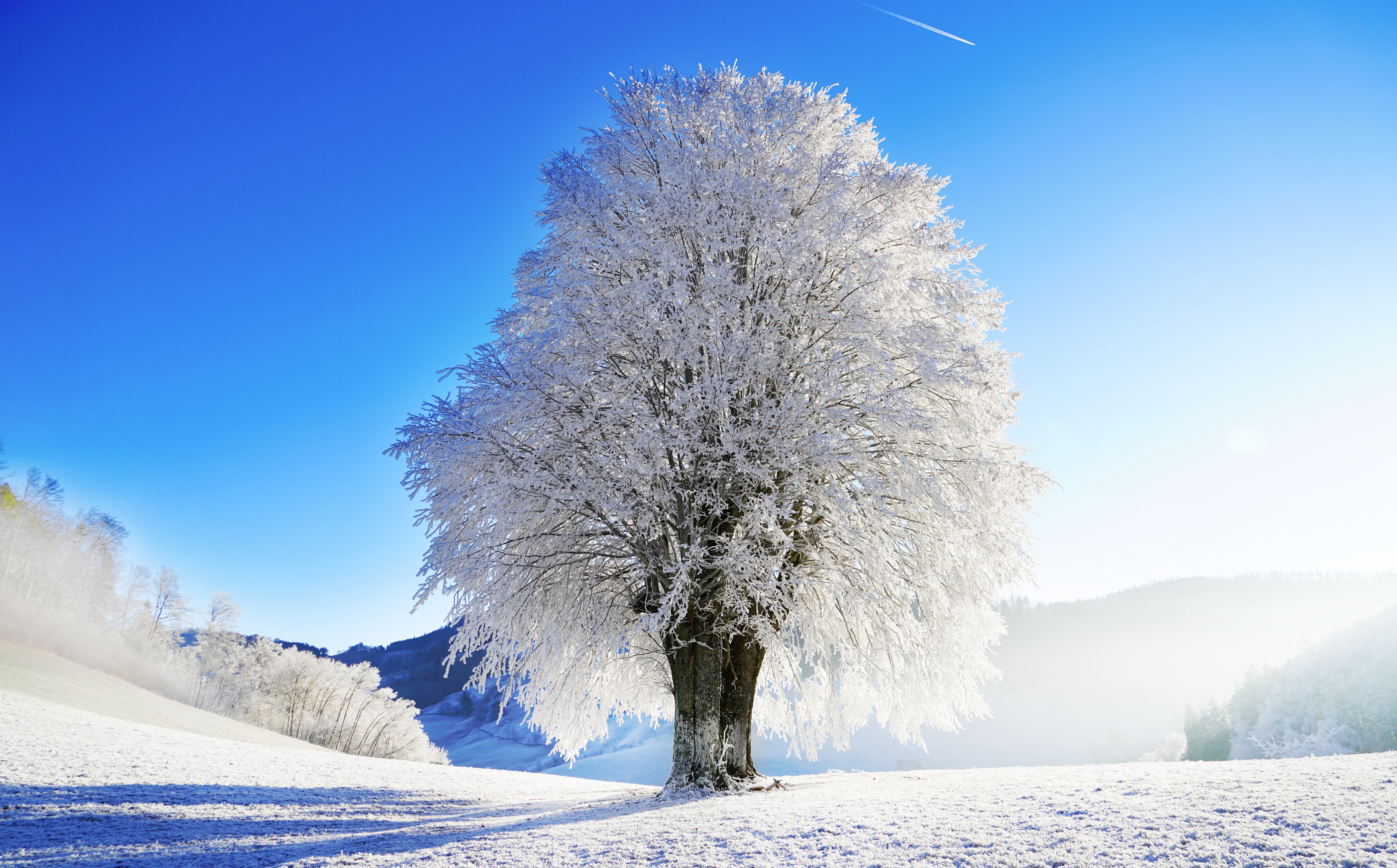 blue, Foggy, sky, snowcapped mountain, scenics - nature, frozen, no people, Frost, day, Landscape, Winter, Cold, tranquil scene, 8K, bluesky, idyllic, HD Wallpaper