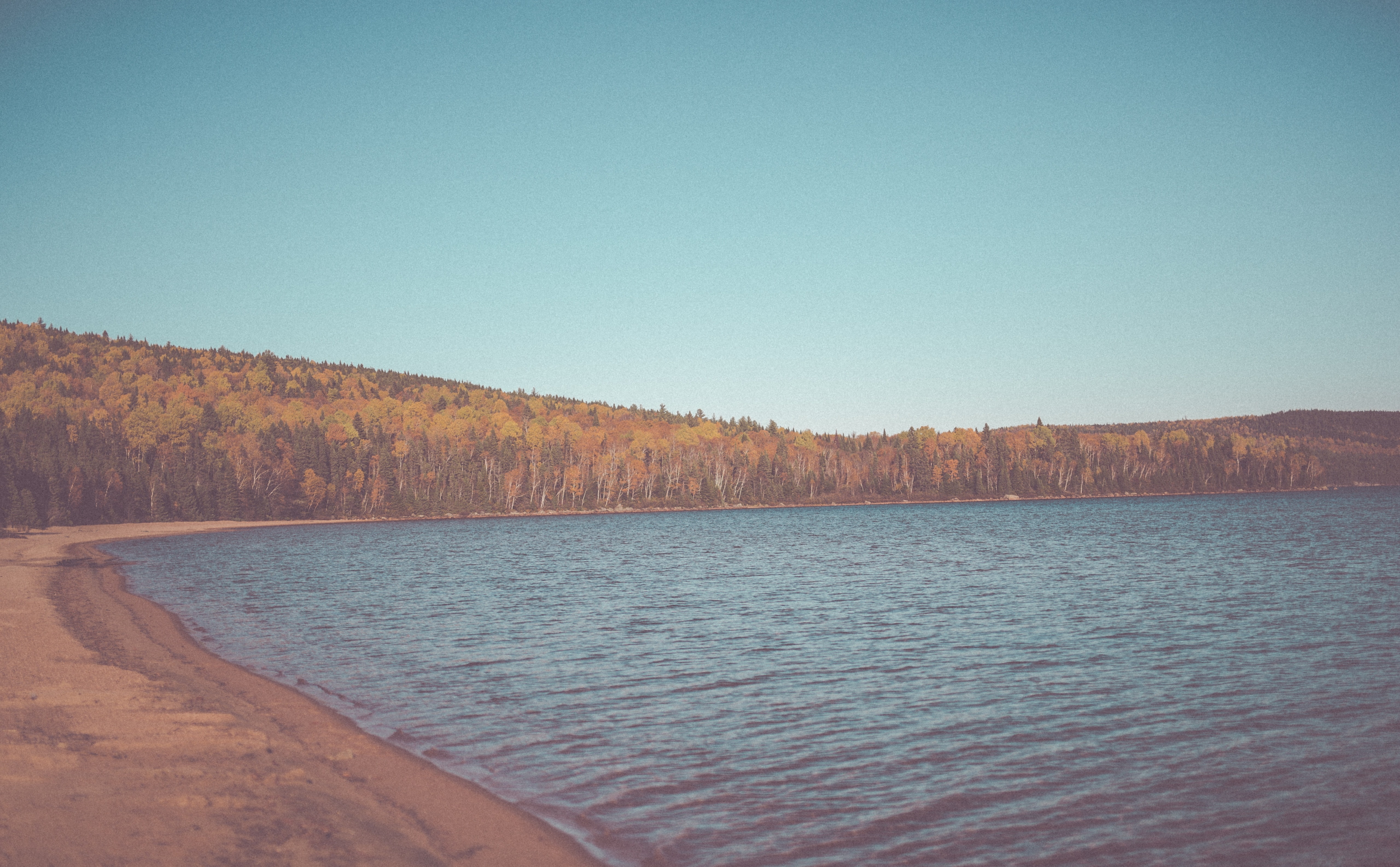 Forest, Beach, non-urban scene, woods, Trees, Brown, beauty in nature, Shore, water, day, copy space, Lake, Blue, Fall, Nature, Wood, land, waterfront, HD Wallpaper