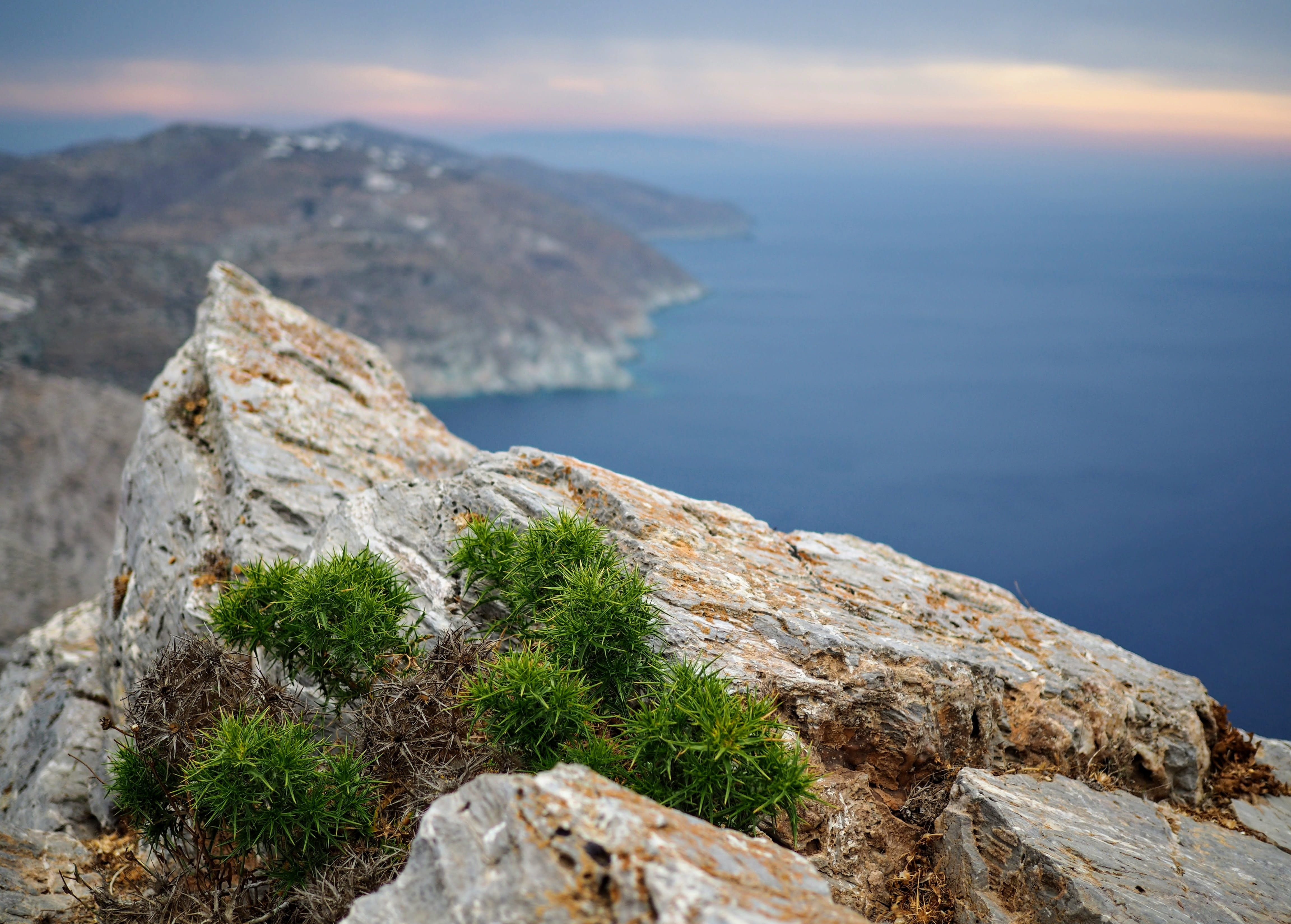 island, tranquility, rock, mountain peak, beauty in nature, solid, plant, outdoors, Cyclades, rock formation, day, Folegandros, non-urban scene, rock - object, HD Wallpaper