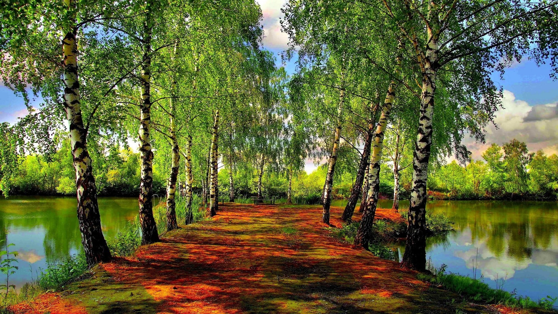 tract, spring, scenics - nature, architecture, tranquility, forest, tree, direction, no people, foliage, diminishing perspective, water, lake, outdoors, HD Wallpaper