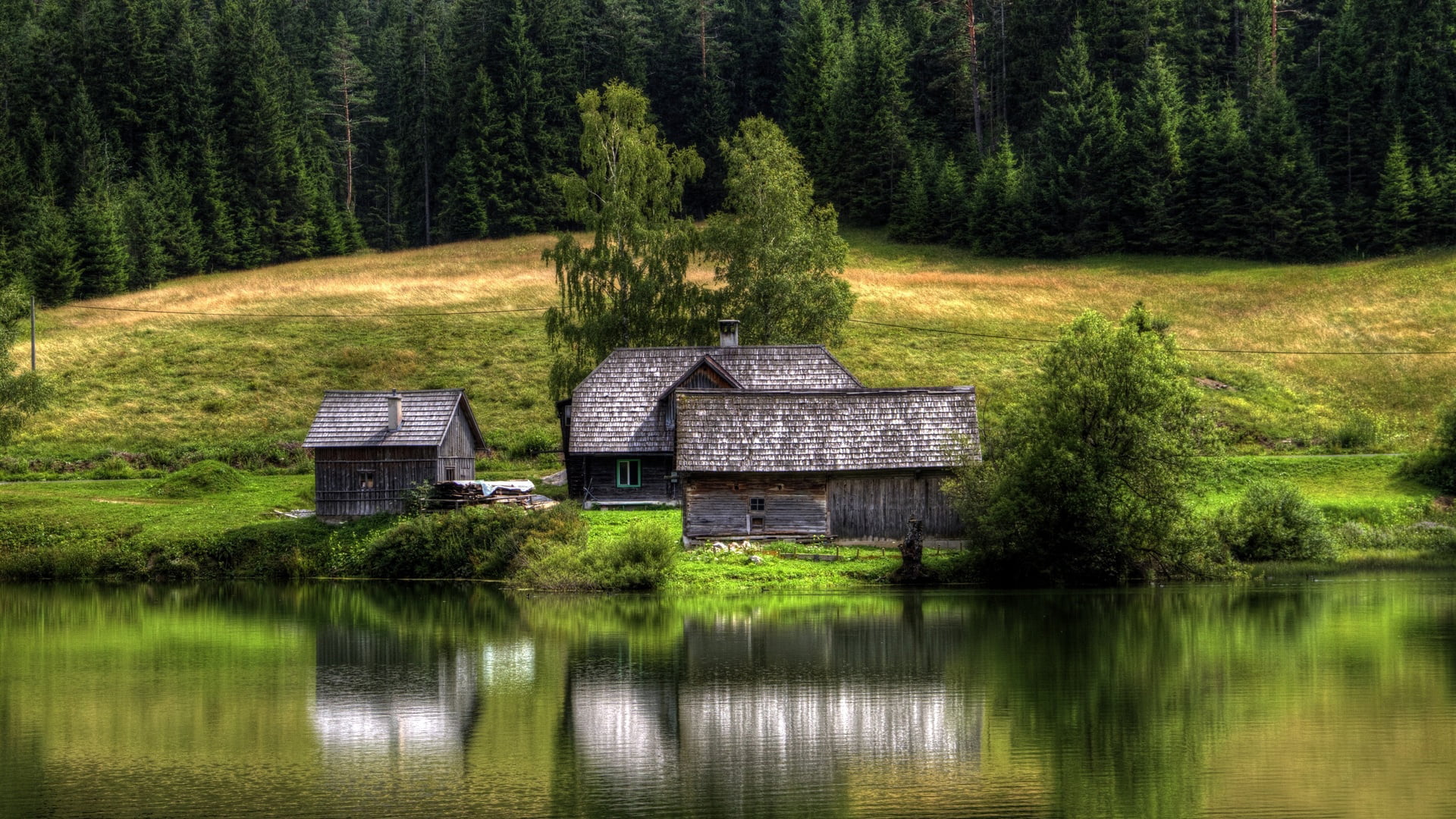 water, grass, tranquil scene, nature, plant, tranquility, natural, tree, summer, tract, land, landscape, fence, built structure, non-urban scene, woodland, HD Wallpaper