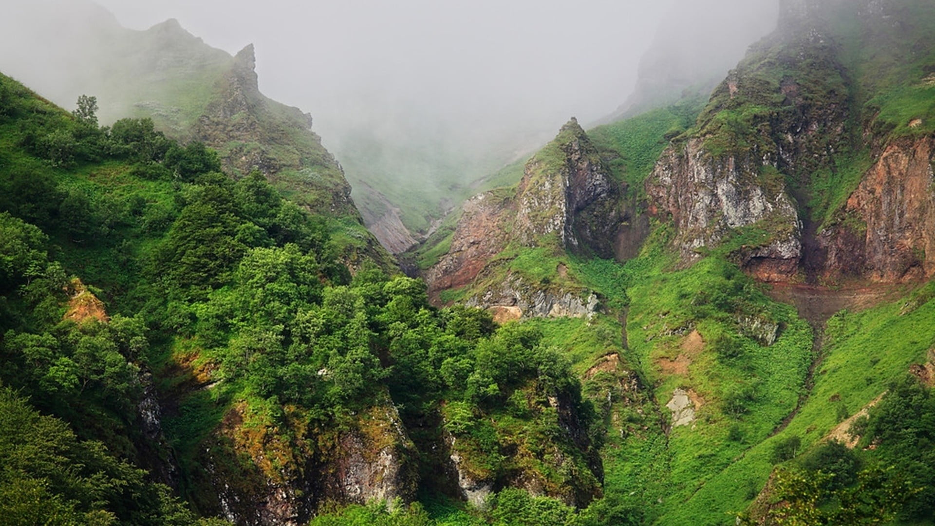 fog, scenic, slope, tree, valley, scenics - nature, cascade, river, travel, garden, outdoor, tract, rocks, non-urban scene, stone, water, no people, tranquil scene, HD Wallpaper
