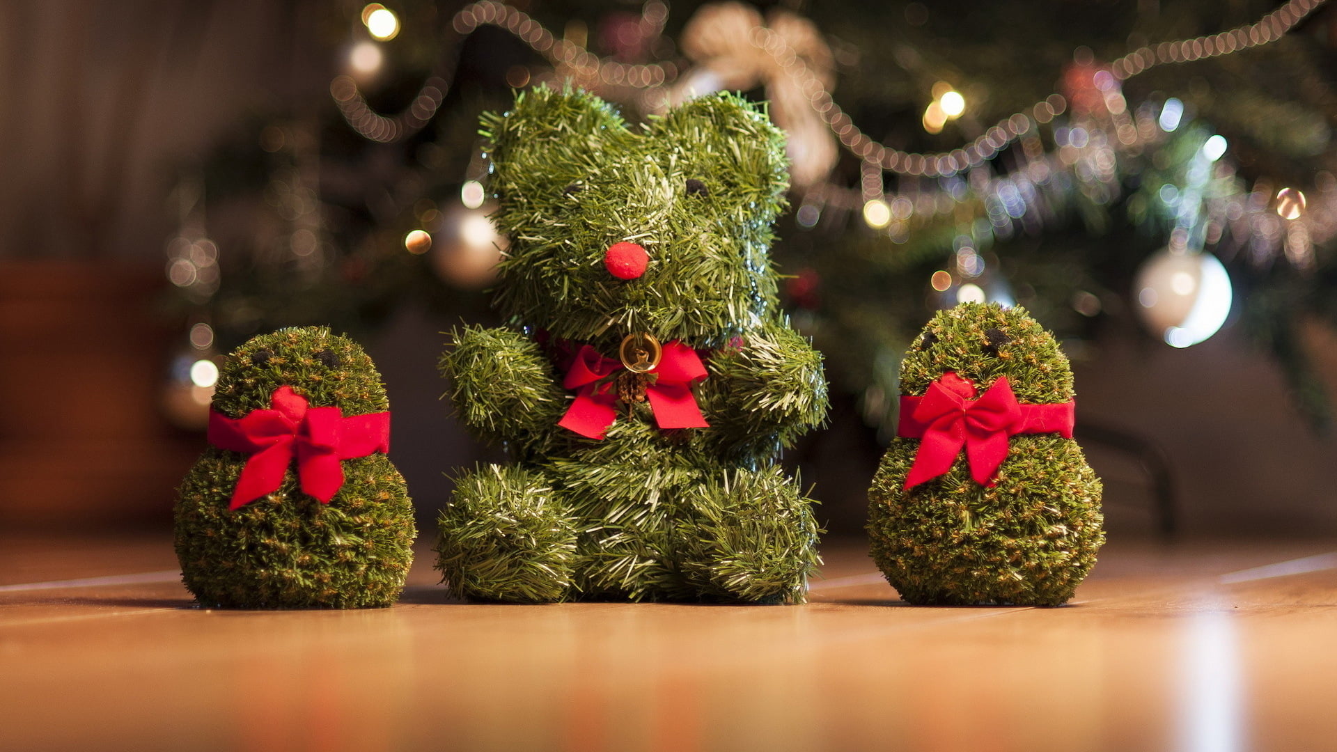 selective focus, colorful, winter, seasonal, no people, celebration, tract, event, floral, 1080P, growth, flowers, christmas tree, green color, indoors, HD Wallpaper