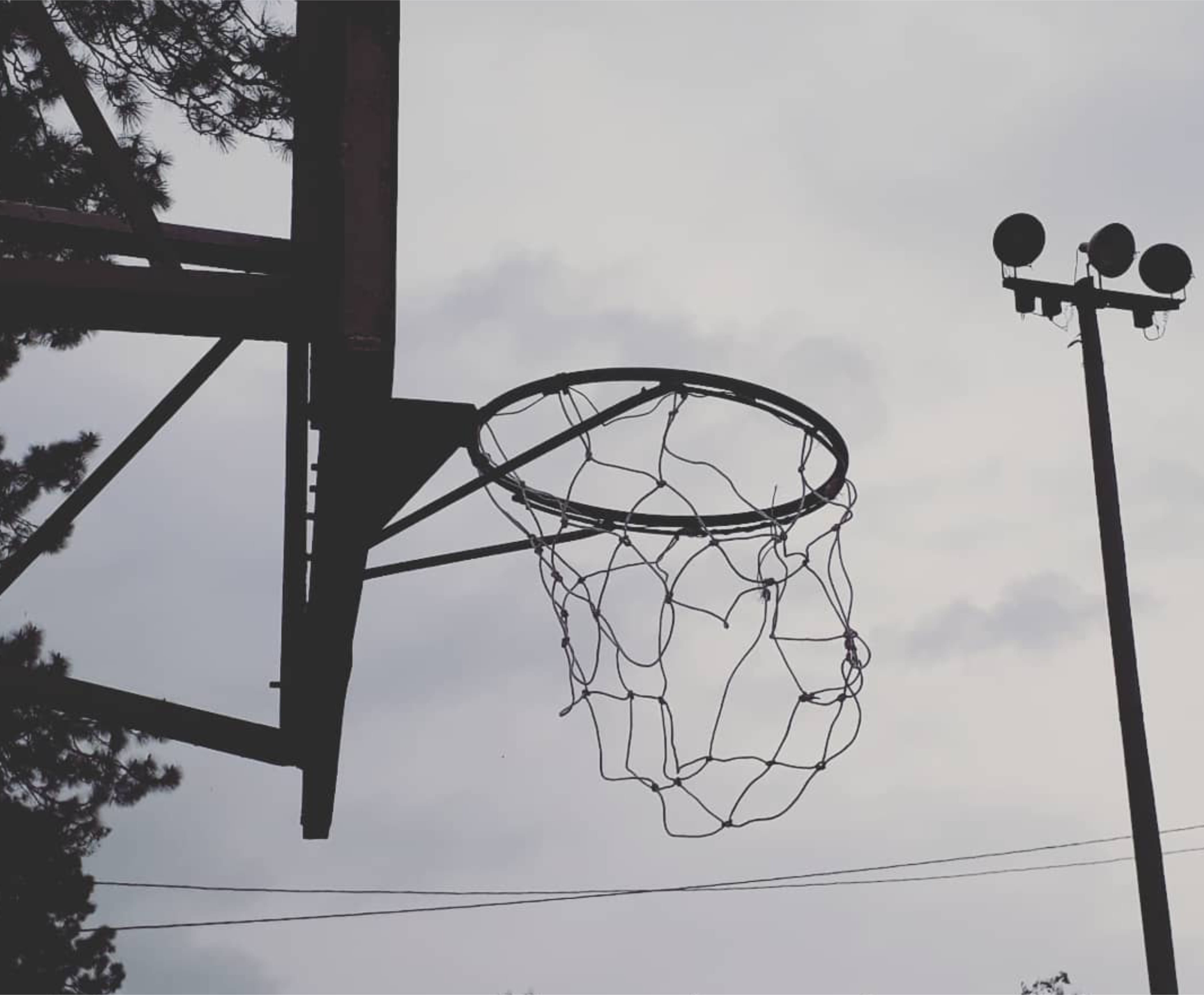 street, rim, street light, plant, basketball, outdoors, rain, tree, forest, brazil, state of minas gerais, sky, day, net - sports equipment, lighting equipment, HD Wallpaper