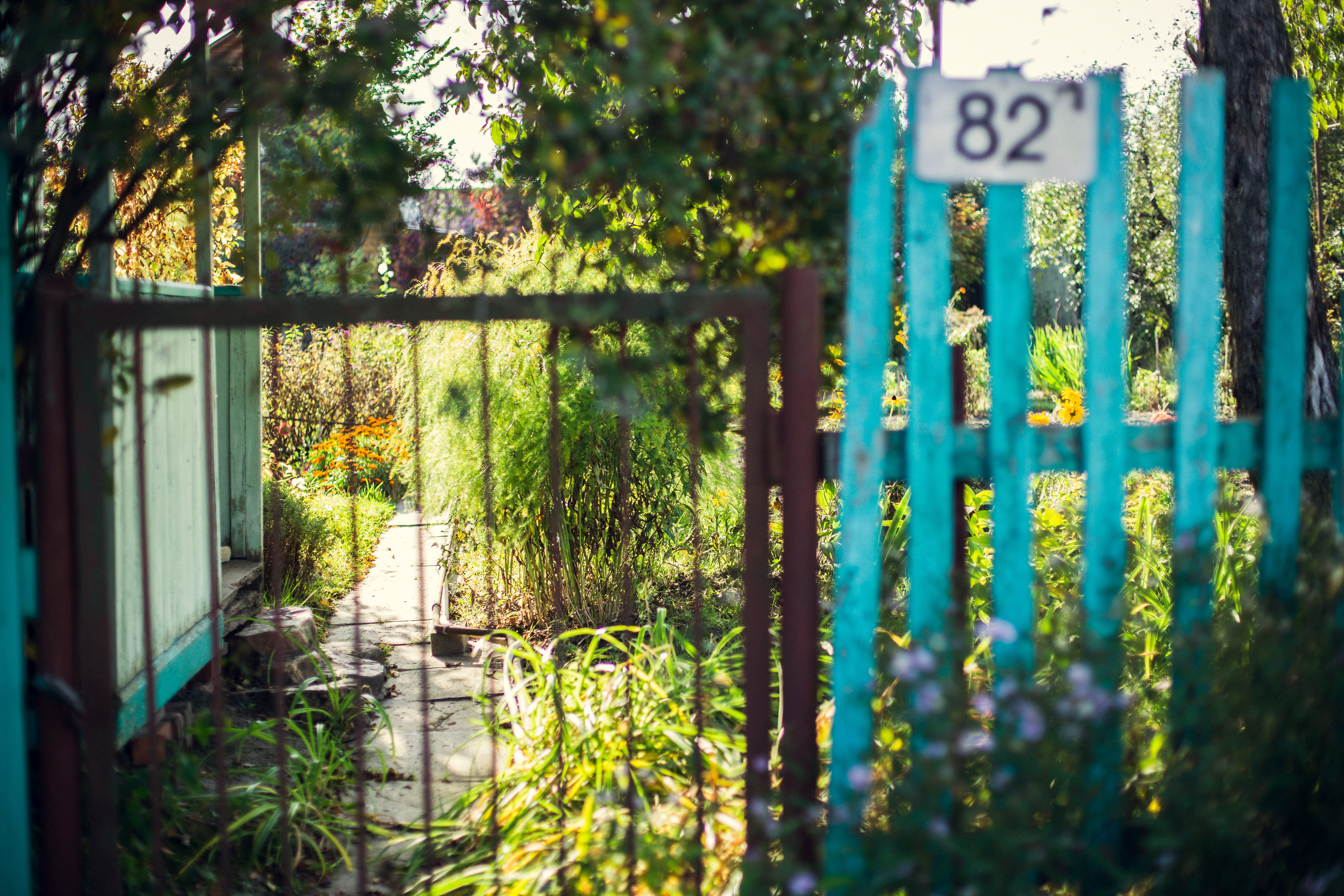garden, village, flowers, safety, outdoors, sign, grass, nature, eco, protection, 5K, harvest, text, summer, flower, barrier, selective focus, day, gate, HD Wallpaper