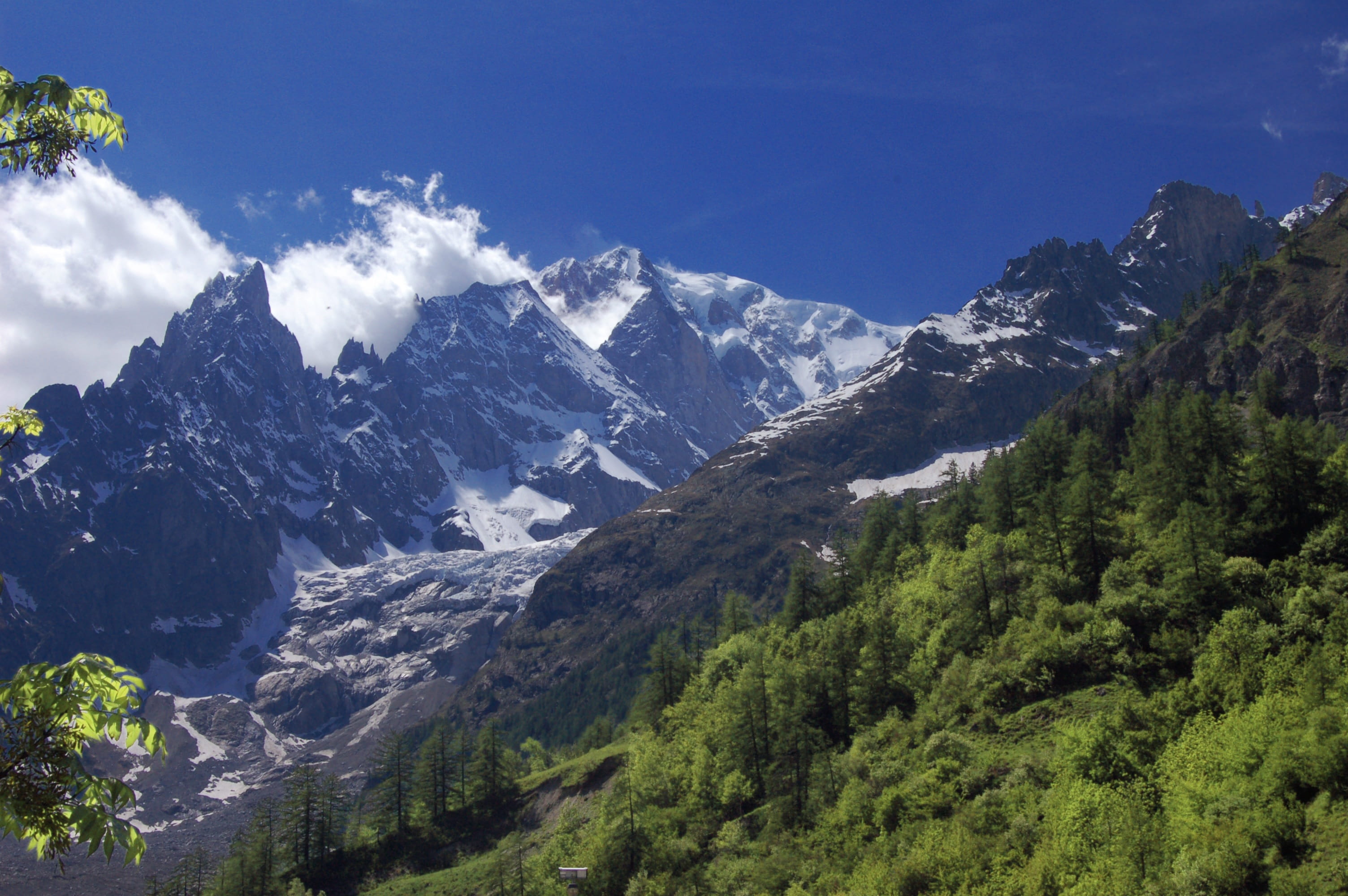 mount white, alps, tranquil scene, cold temperature, scenics - nature, monte rosa, day, switzerland, mont cervin, horu, plant, snowcapped mountain, mountain peak, HD Wallpaper