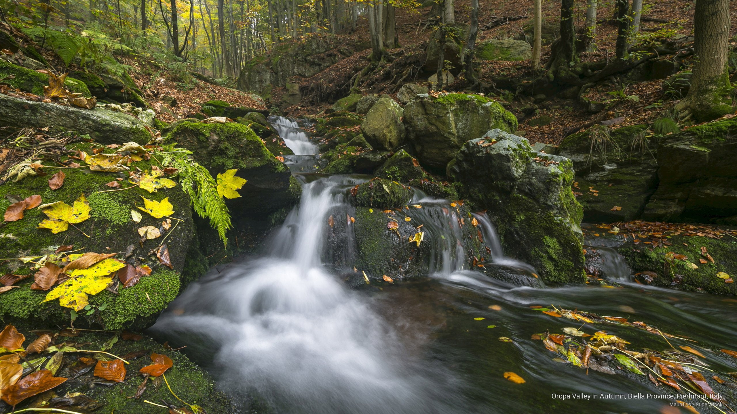 oropa, piedmont, biella, valley, Fall, province, autumn, 2K, italy, HD Wallpaper