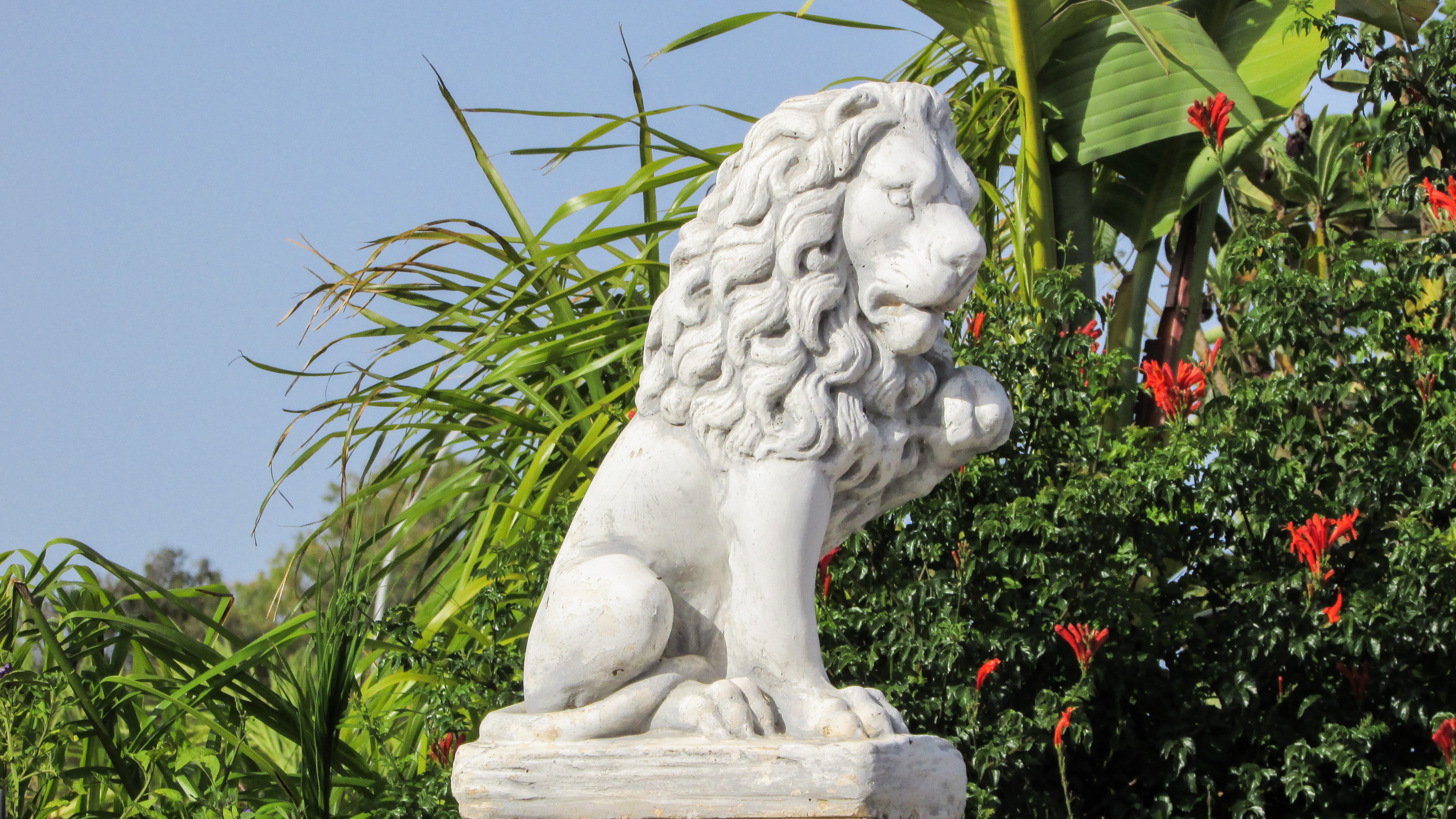 human representation, no people, lion, green color, stone material, guardian, day, representation, 4K, park - man made space, plant, outdoors, statue, HD Wallpaper