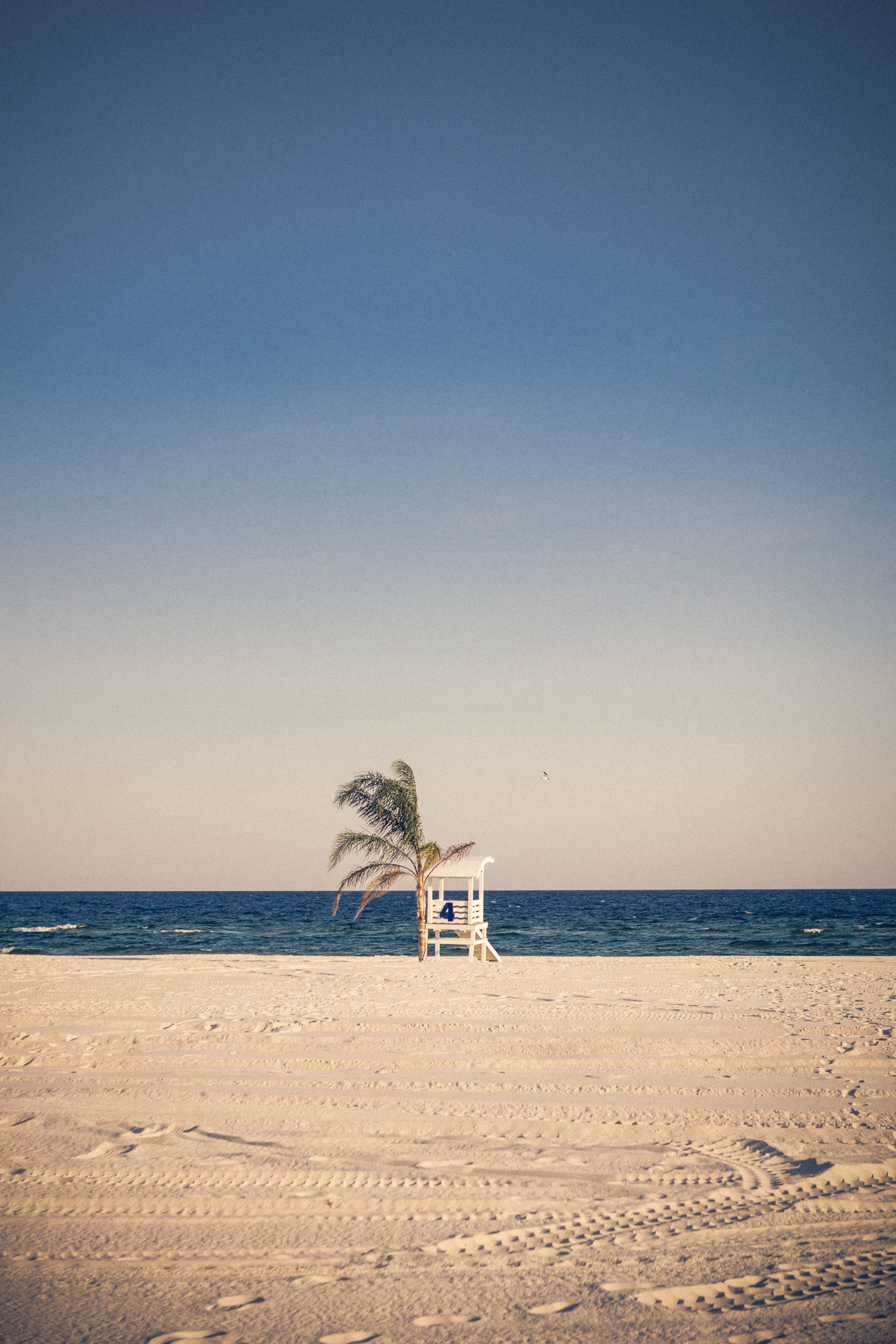 beach, beauty In Nature, florida - Usa, outdoors, nature, lifeguard Hut, idyllic, travel, horizon, seascape, travel Destinations, water, bird, tranquil Scene, Phone HD Wallpaper