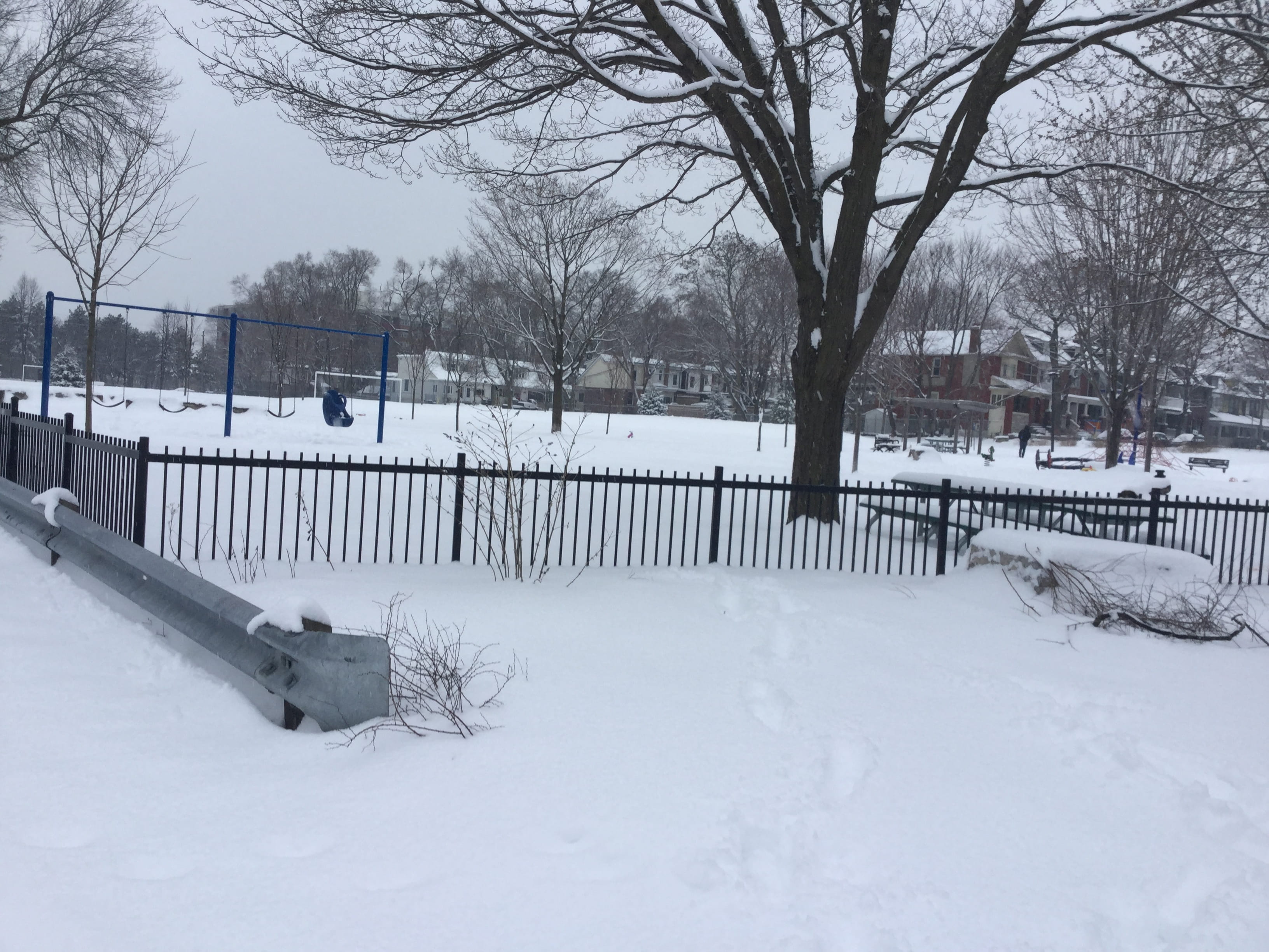 snow, tree, land, weather, winter snow garden toronto, barrier, bare tree, plant, building, white color, banister, storm, outdoors, boundary, tranquility, HD Wallpaper