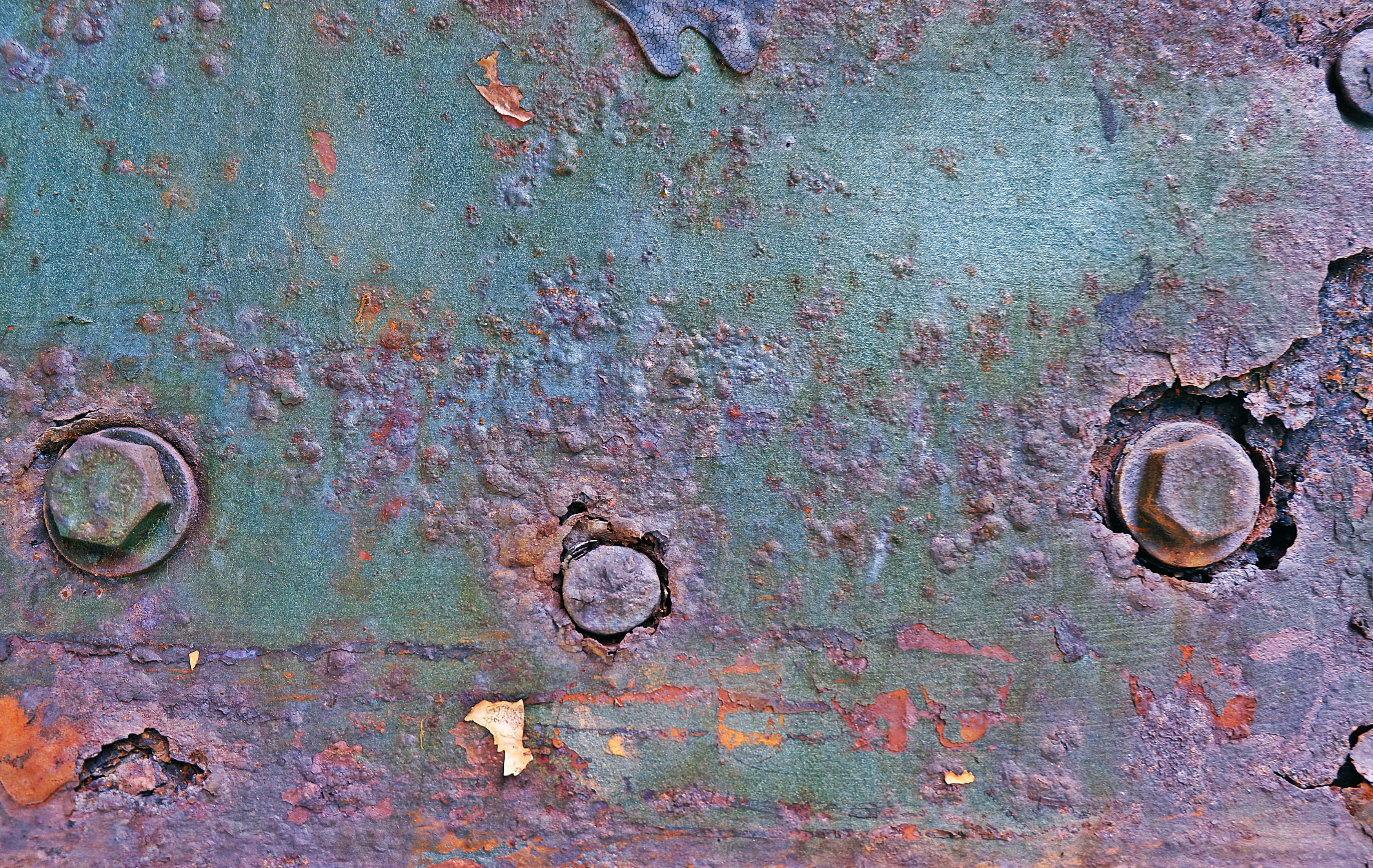 close-up, dome, rough, turtle, peeling off, animal, run-down, bad condition, day, brake, slate, ruined, steel, safe, hole, drain, damaged, rust, full frame, HD Wallpaper